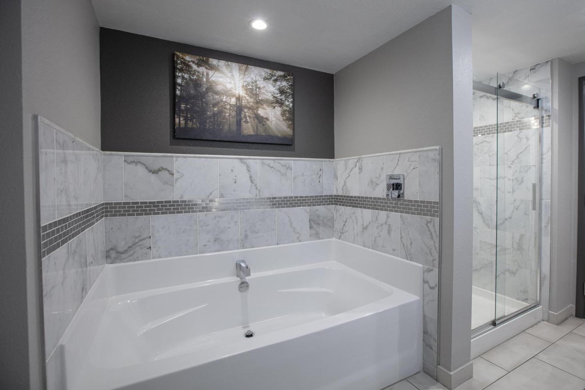 One-Bedroom Suite - Photo 5