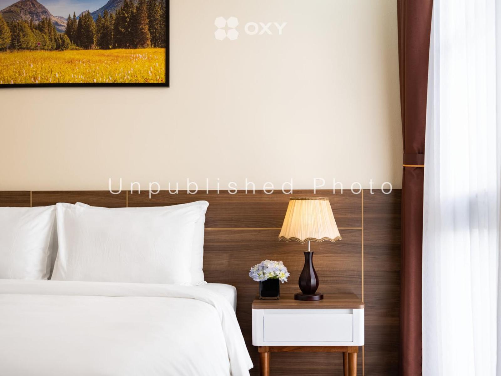 King Room - Photo 10