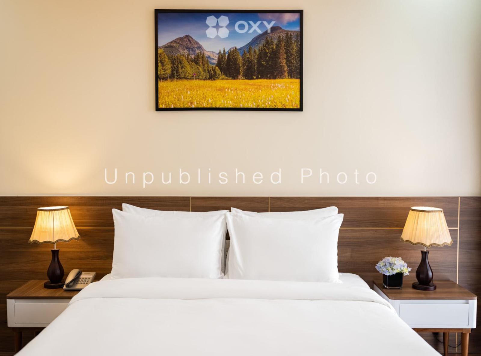 King Room - Photo 14