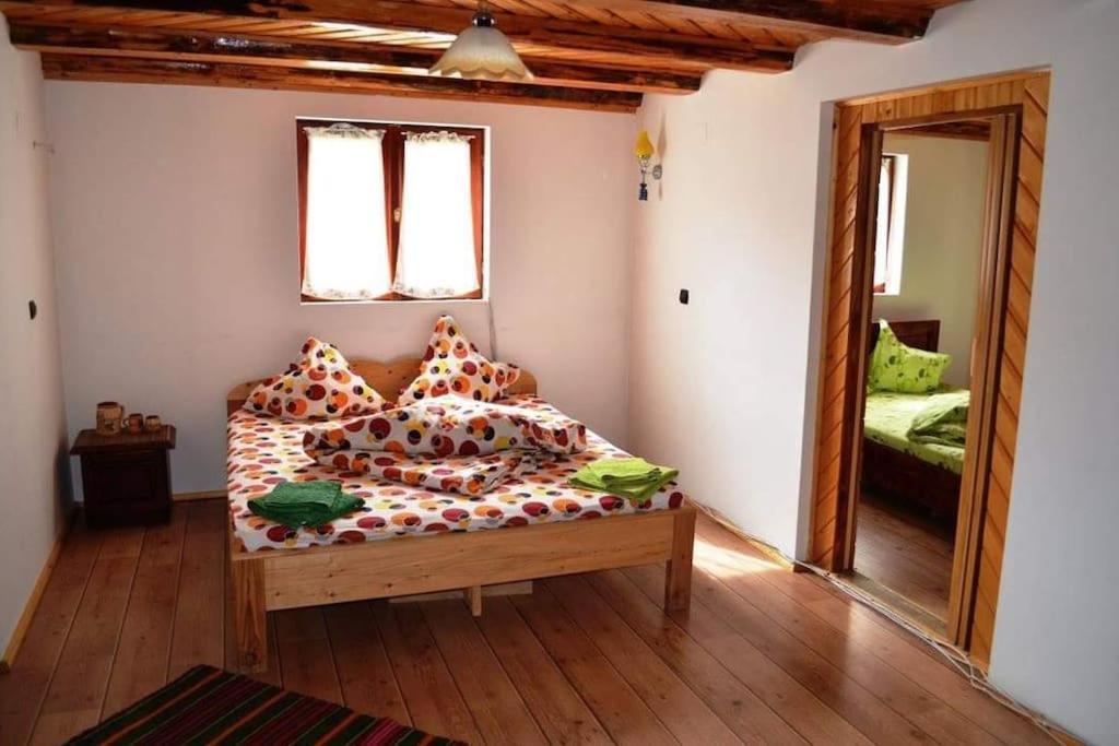 One-Bedroom House photo 2