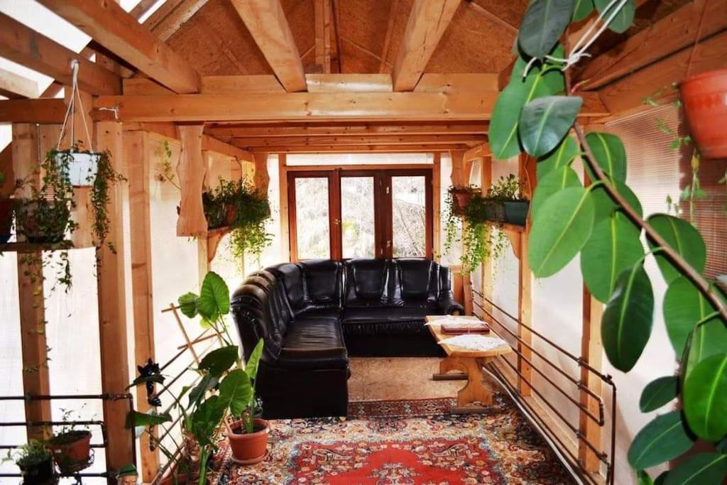 One-Bedroom House photo 3