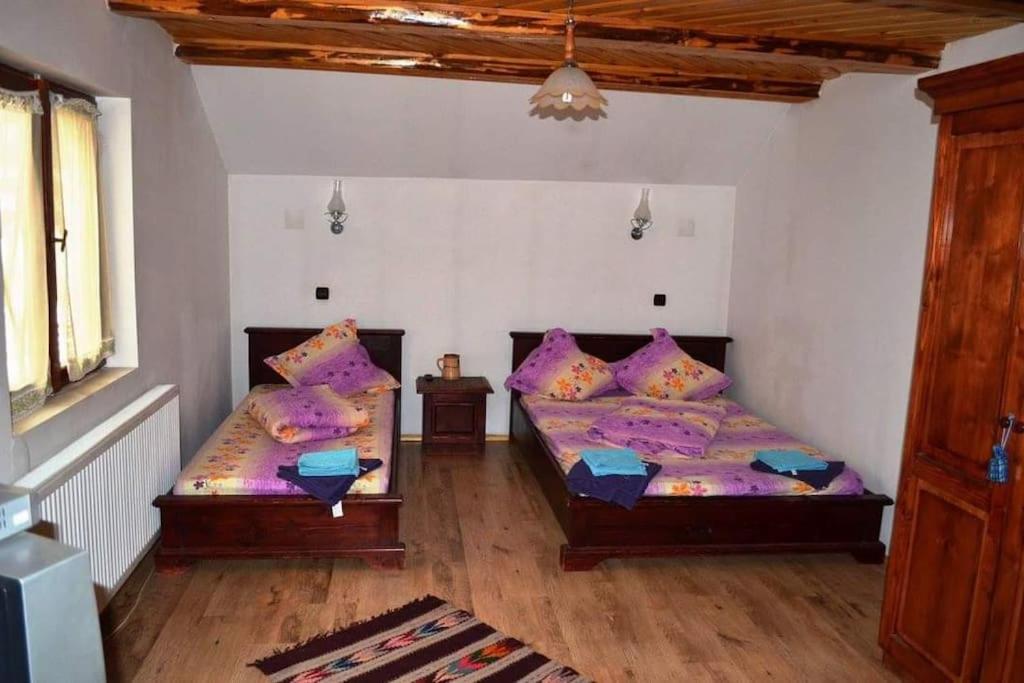 One-Bedroom House photo 1