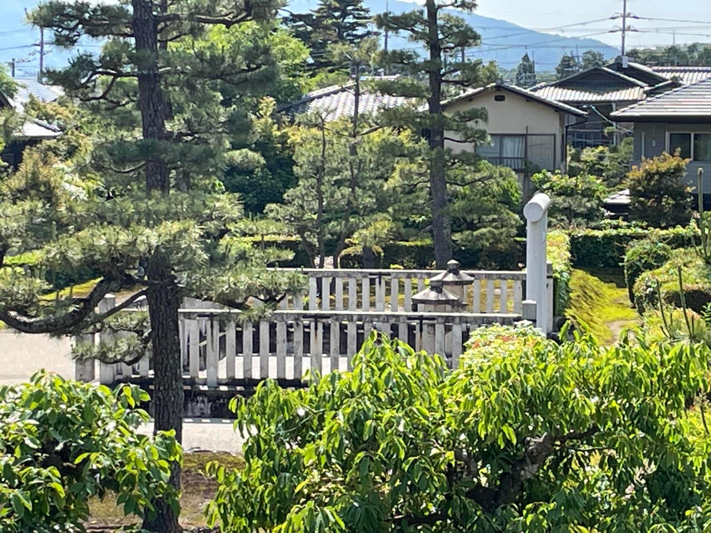 Apartment with Garden View photo 2