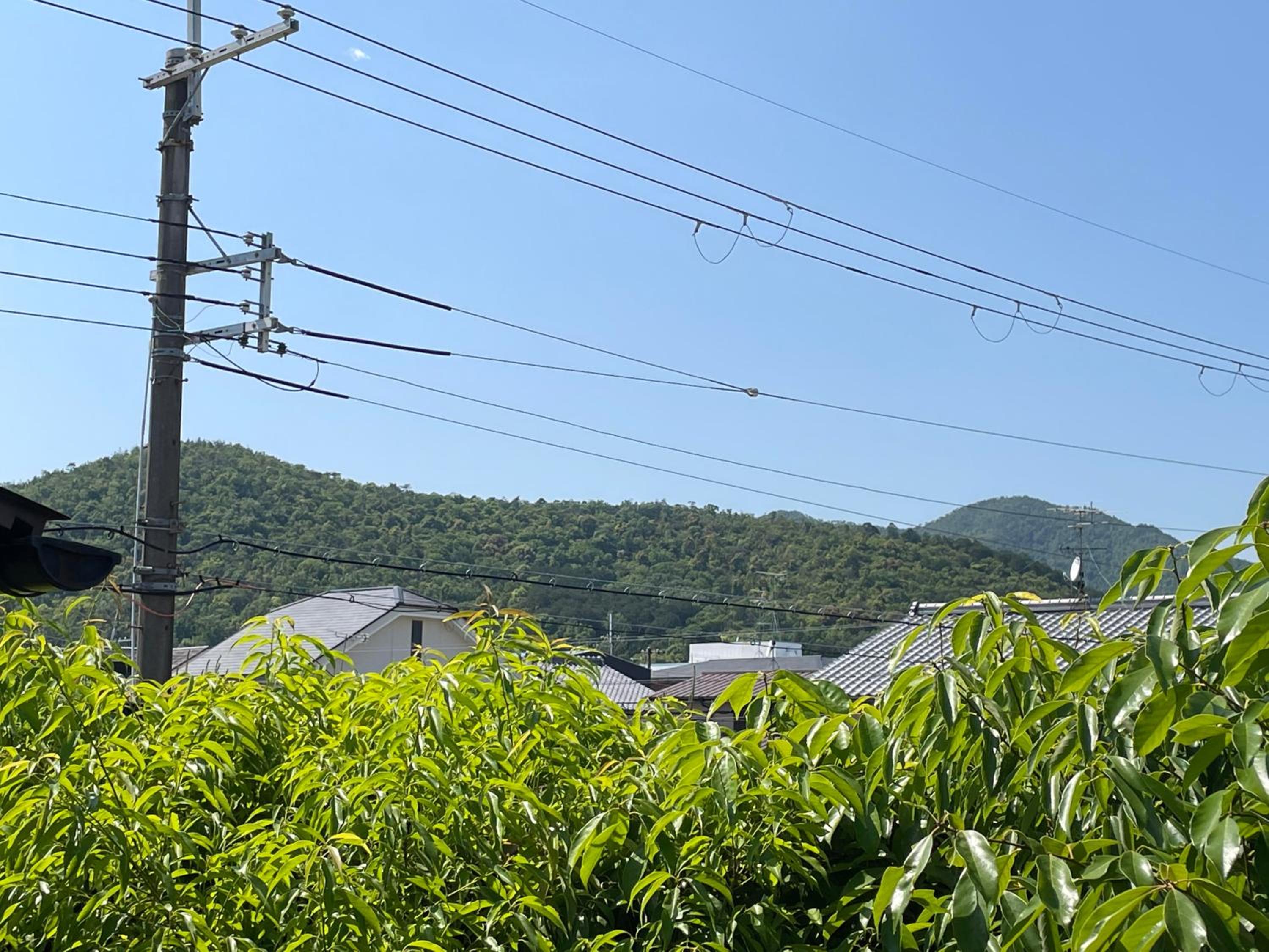 Apartment with Mountain View photo 3
