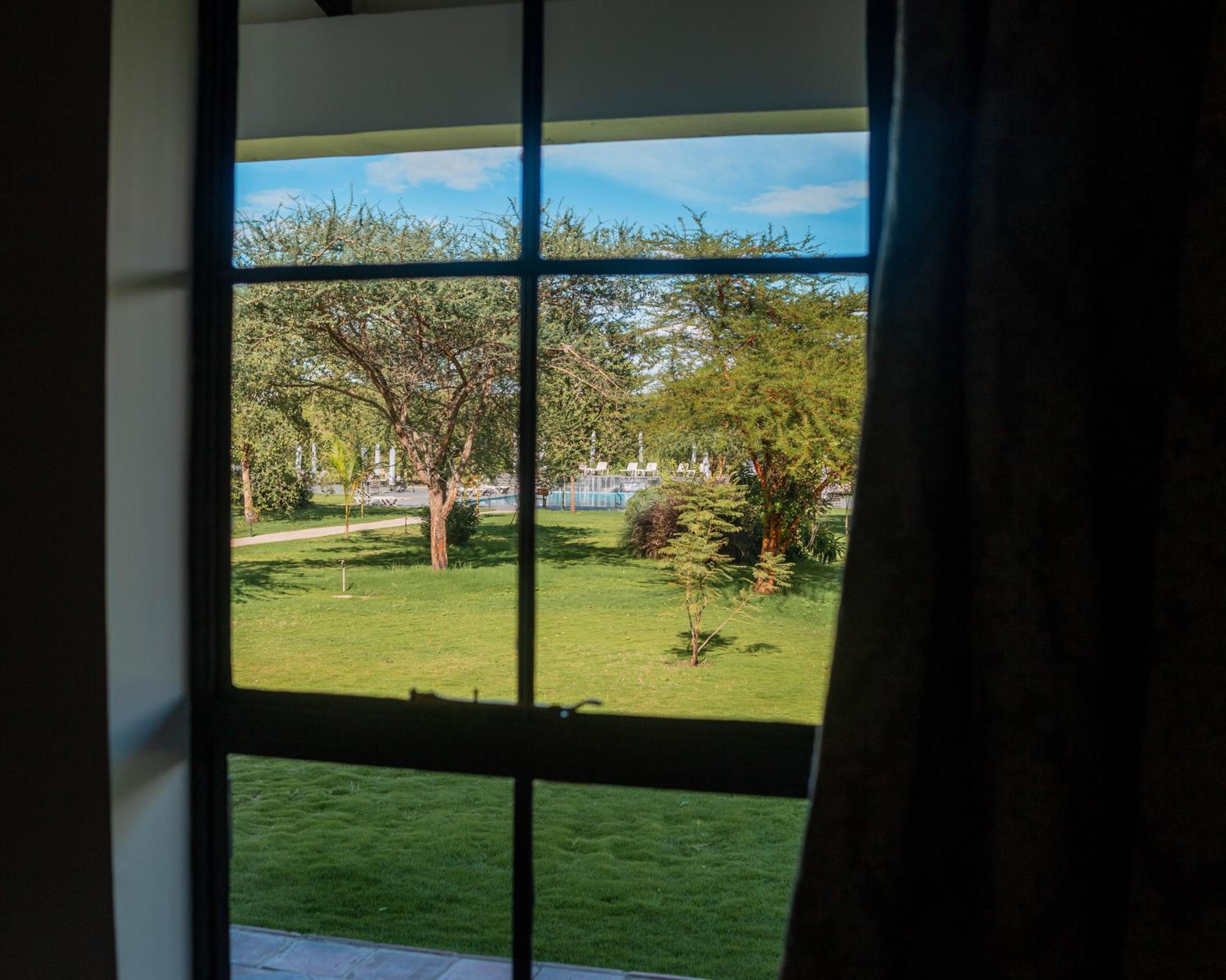 Double Room with Pool View - Photo 4