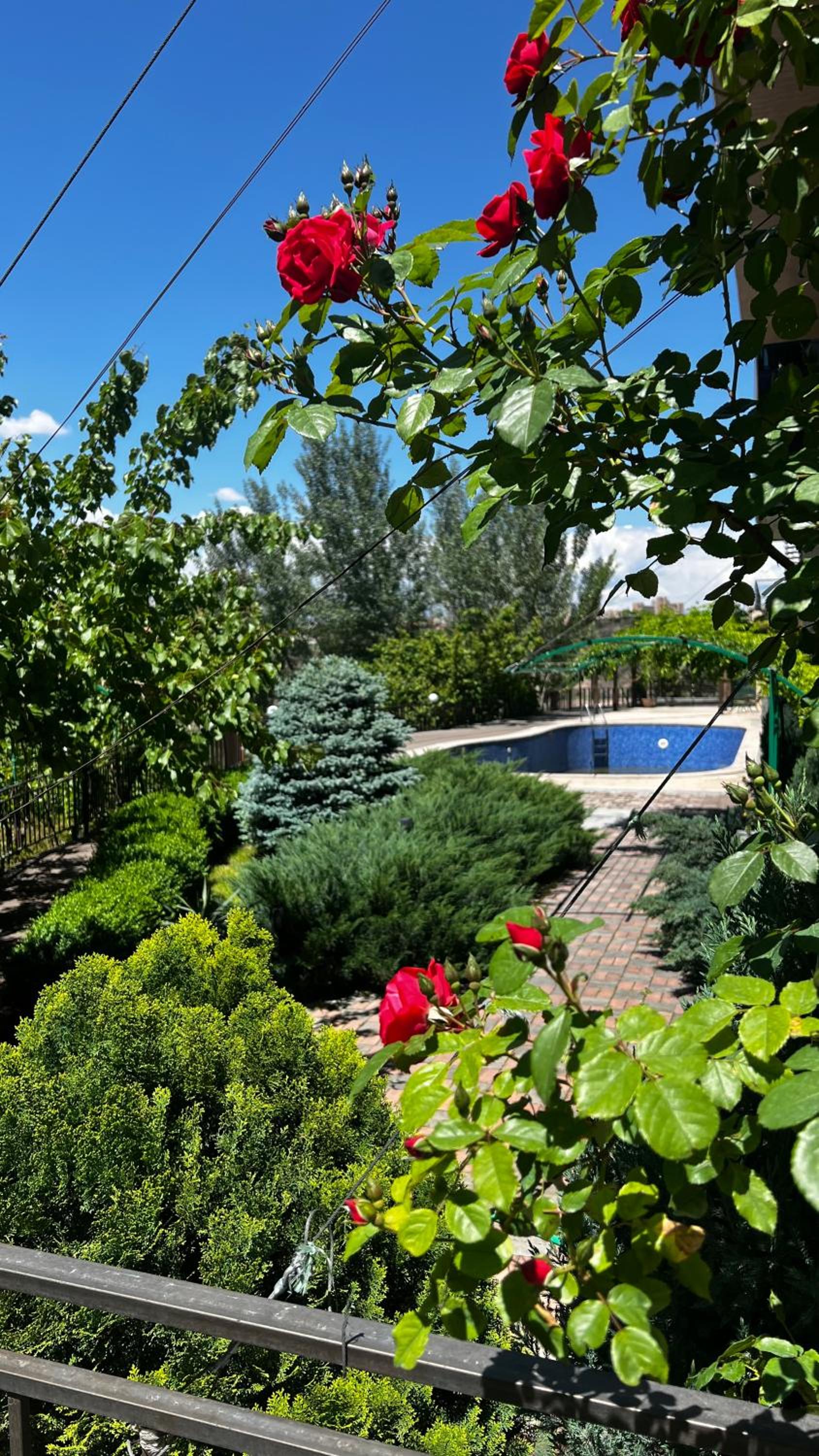 Double or Twin Room with Pool View photo 2