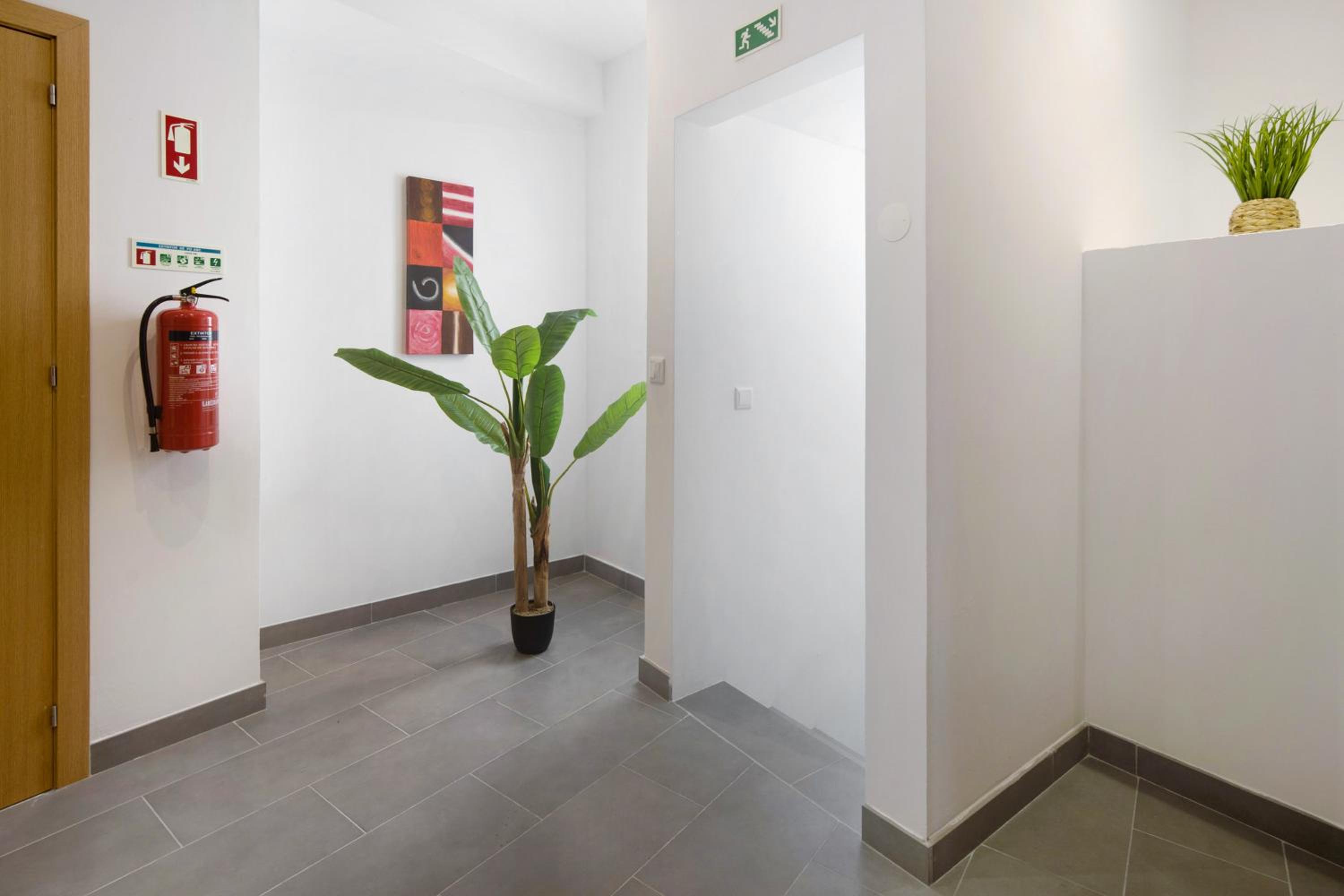 Superior One-Bedroom Apartment with Balcony photo 3