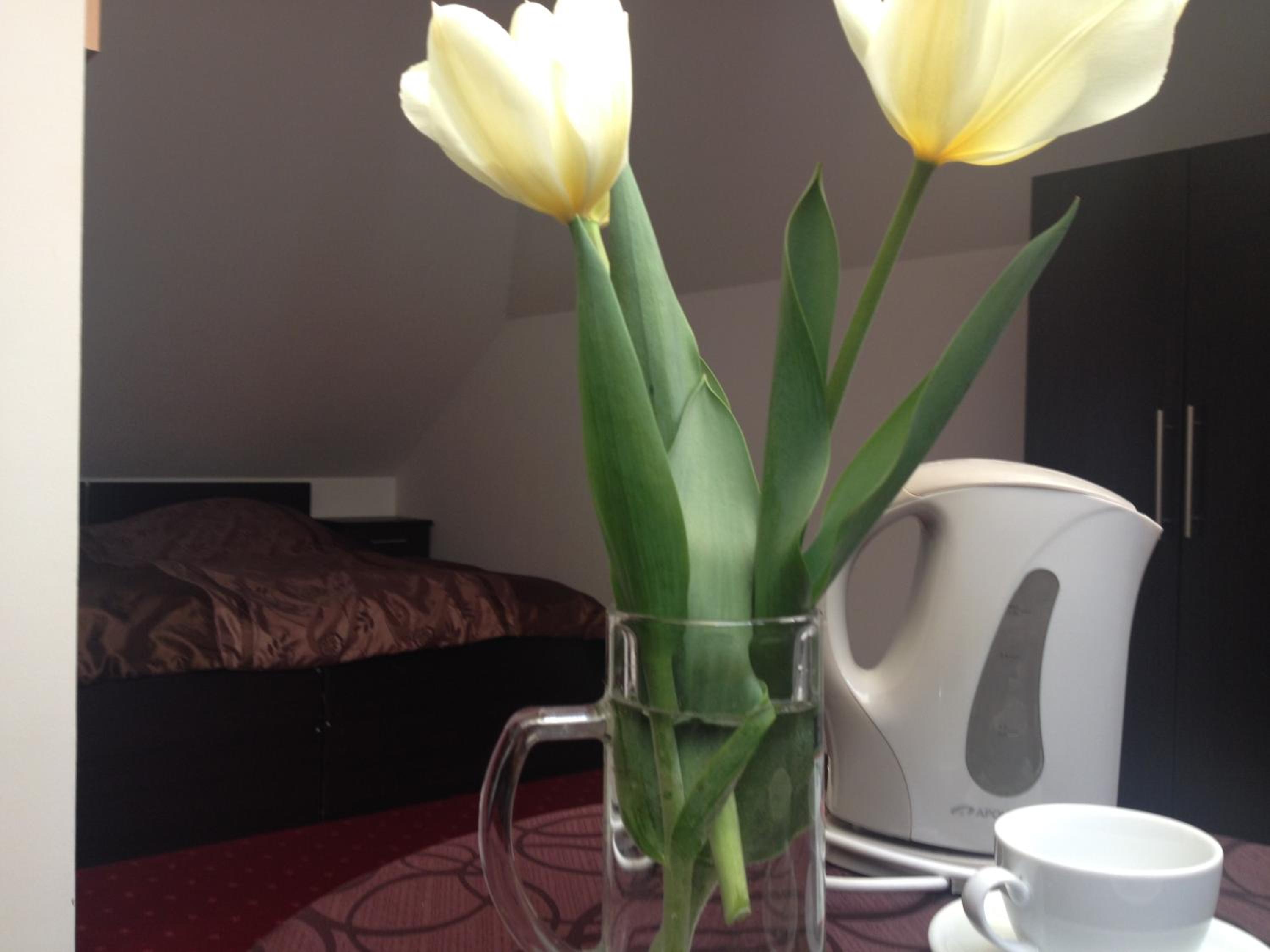 Triple Room - Photo 2