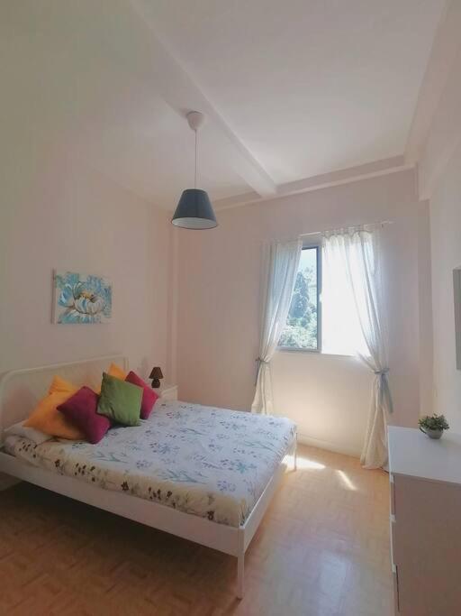 One-Bedroom Apartment - Garden View