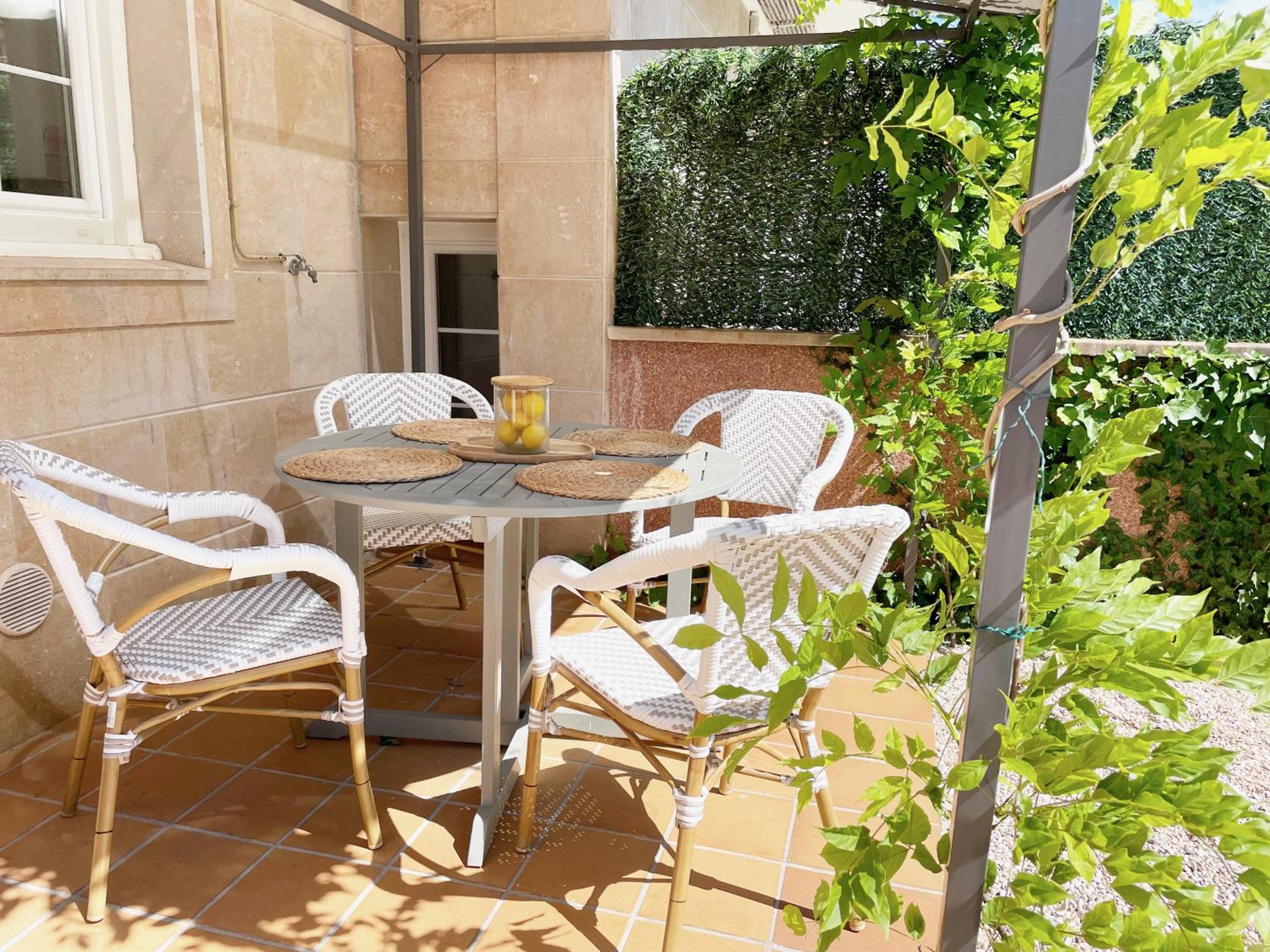 Apartment with Terrace photo 3
