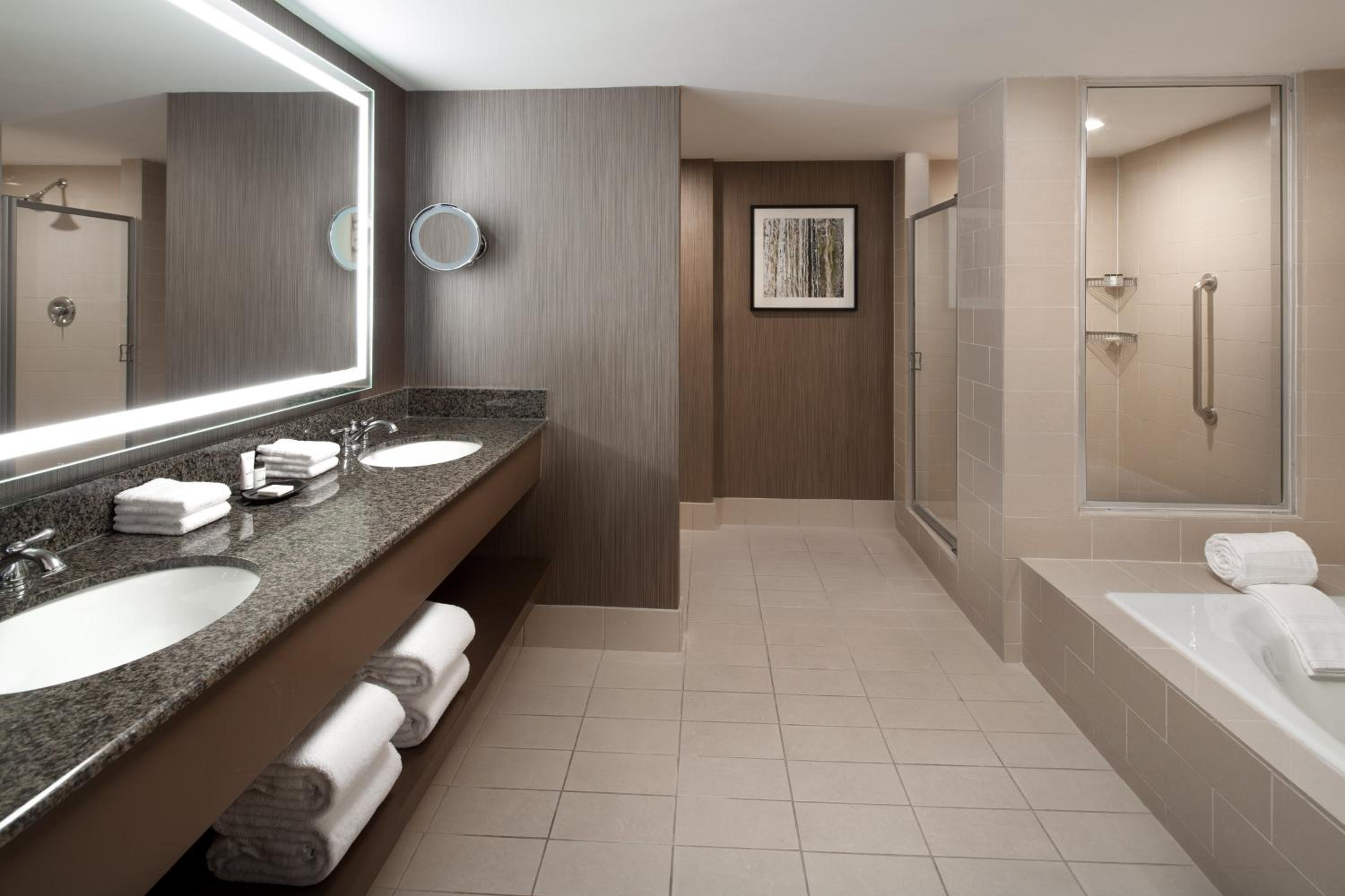 1 Bedroom Executive Suite, 1 King, Sofa bed, Mountain view - Photo 4