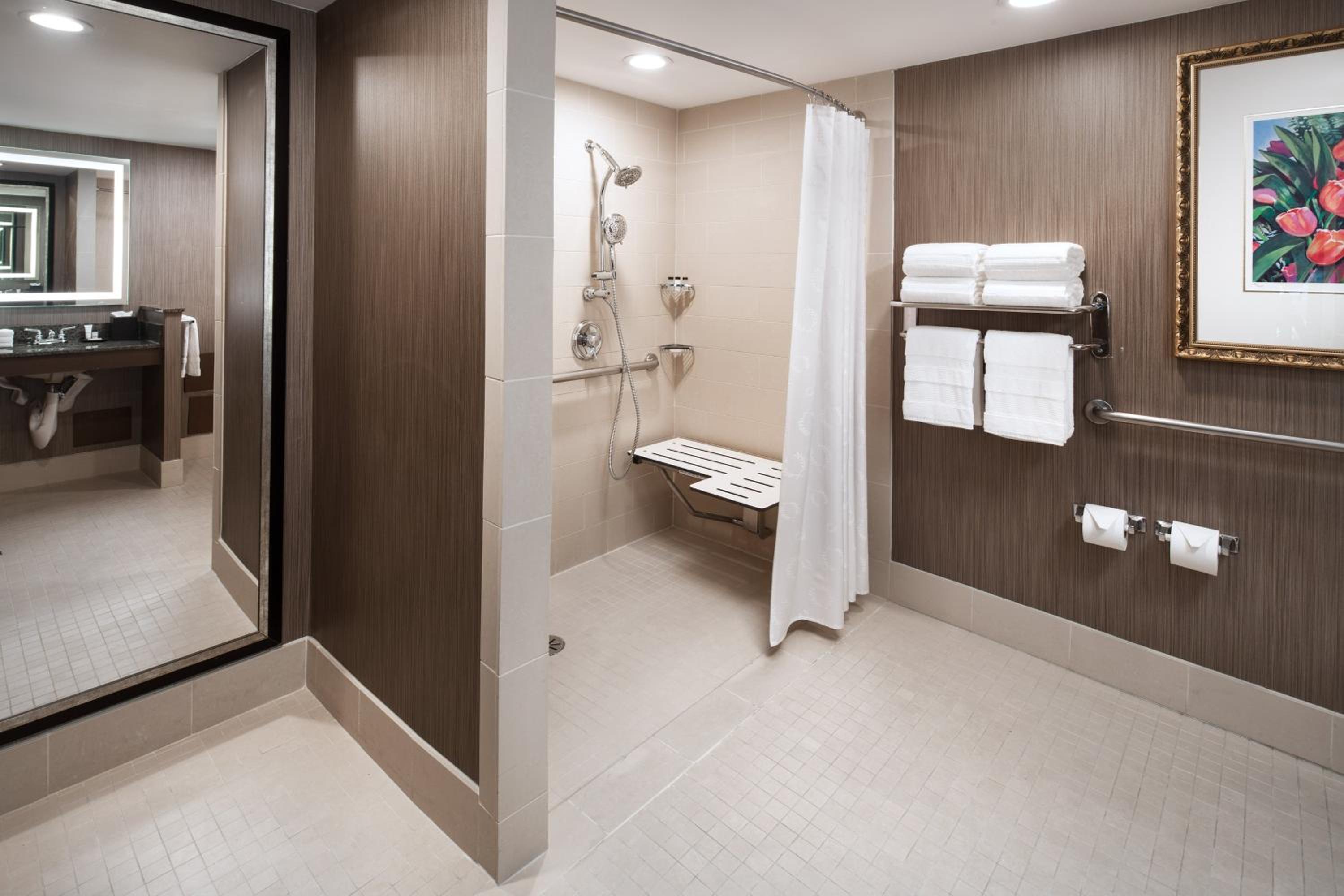 1 Bedroom Executive Suite, 1 King, Sofa bed, Mountain view - Photo 3