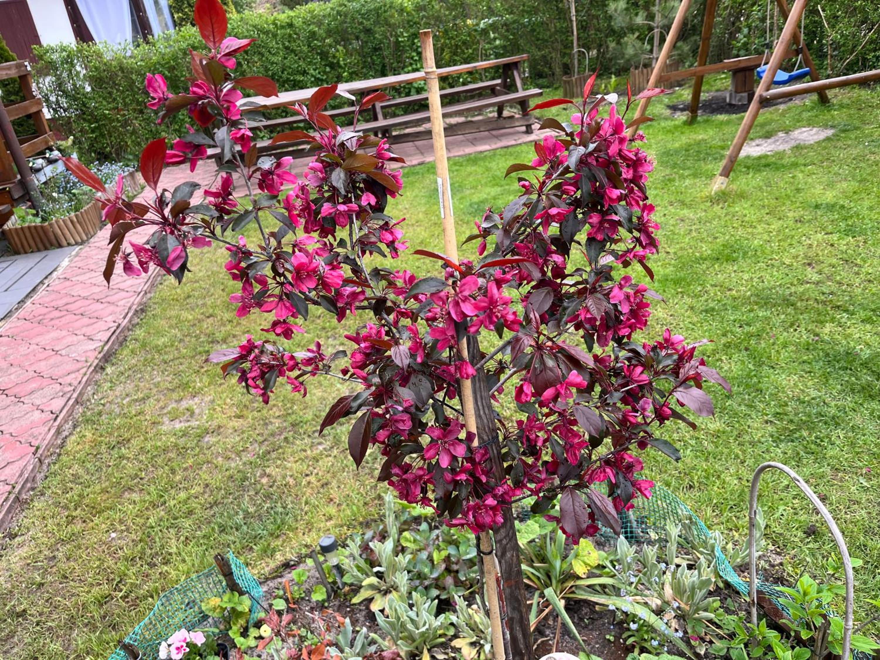 Holiday Home - Photo 44