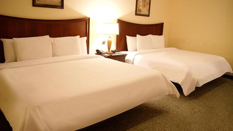 Family Suite photo 1