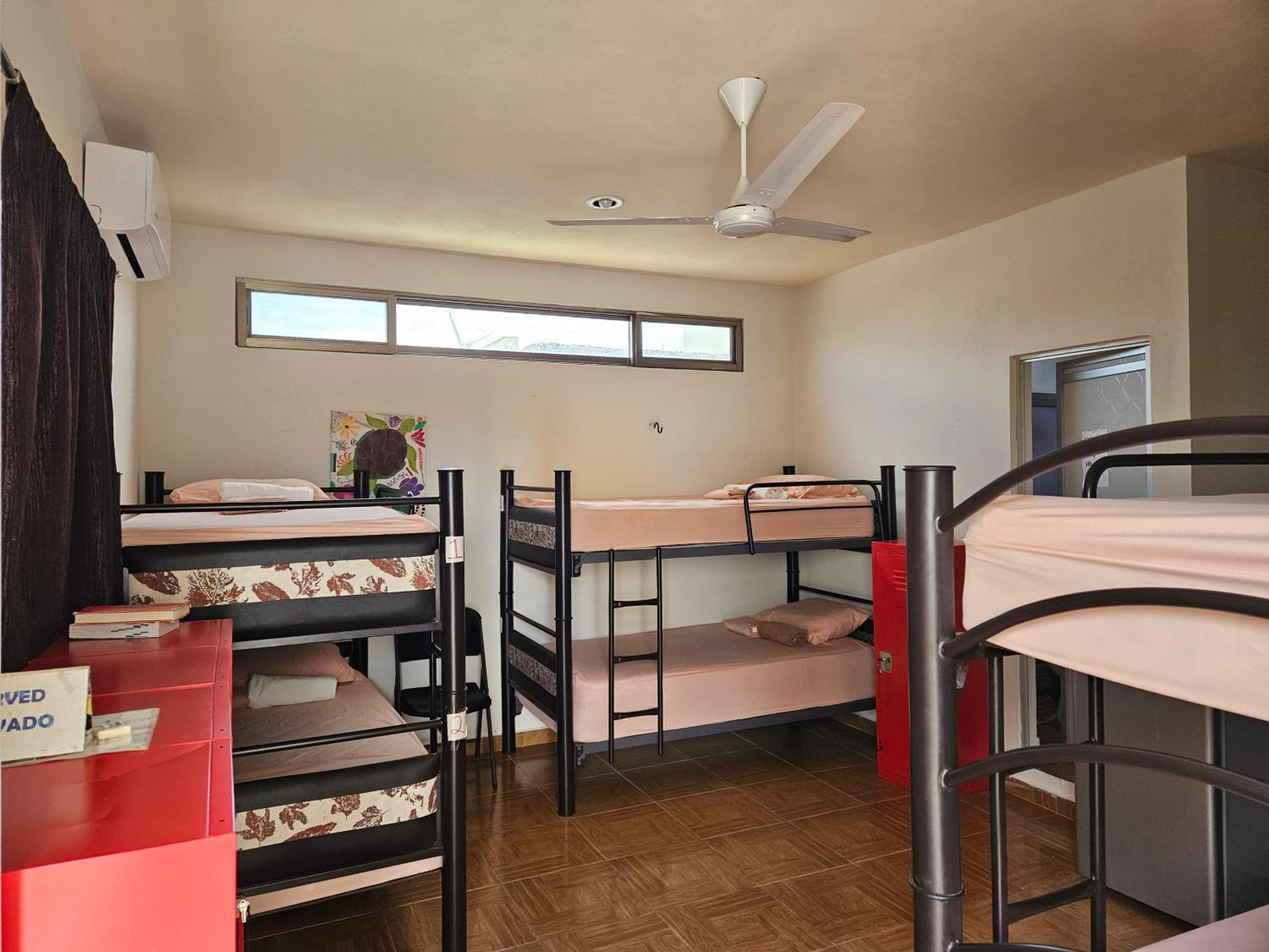 Bunk Bed in Mixed Dormitory Room photo 1