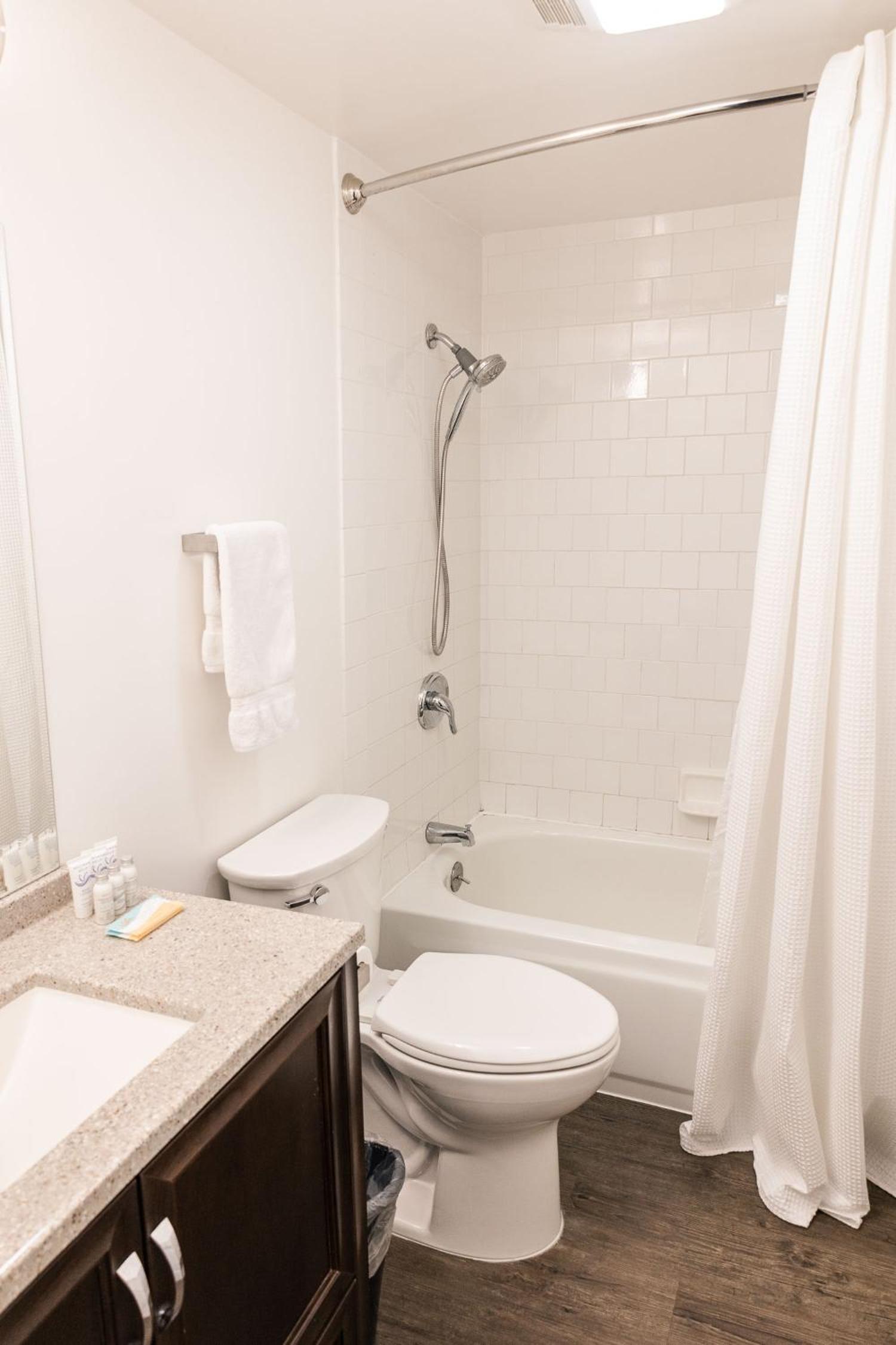 Deluxe Queen Suite photo 3