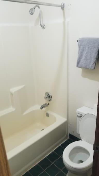 One-Bedroom Apartment photo 3