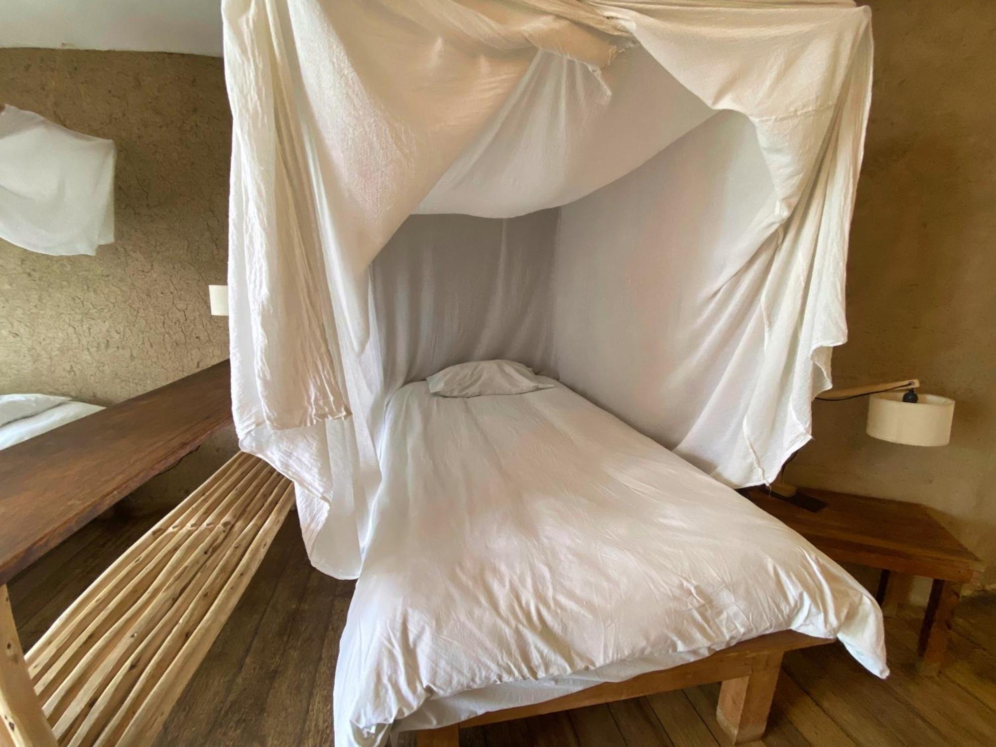 Single Bed in Female Dormitory Room photo 1