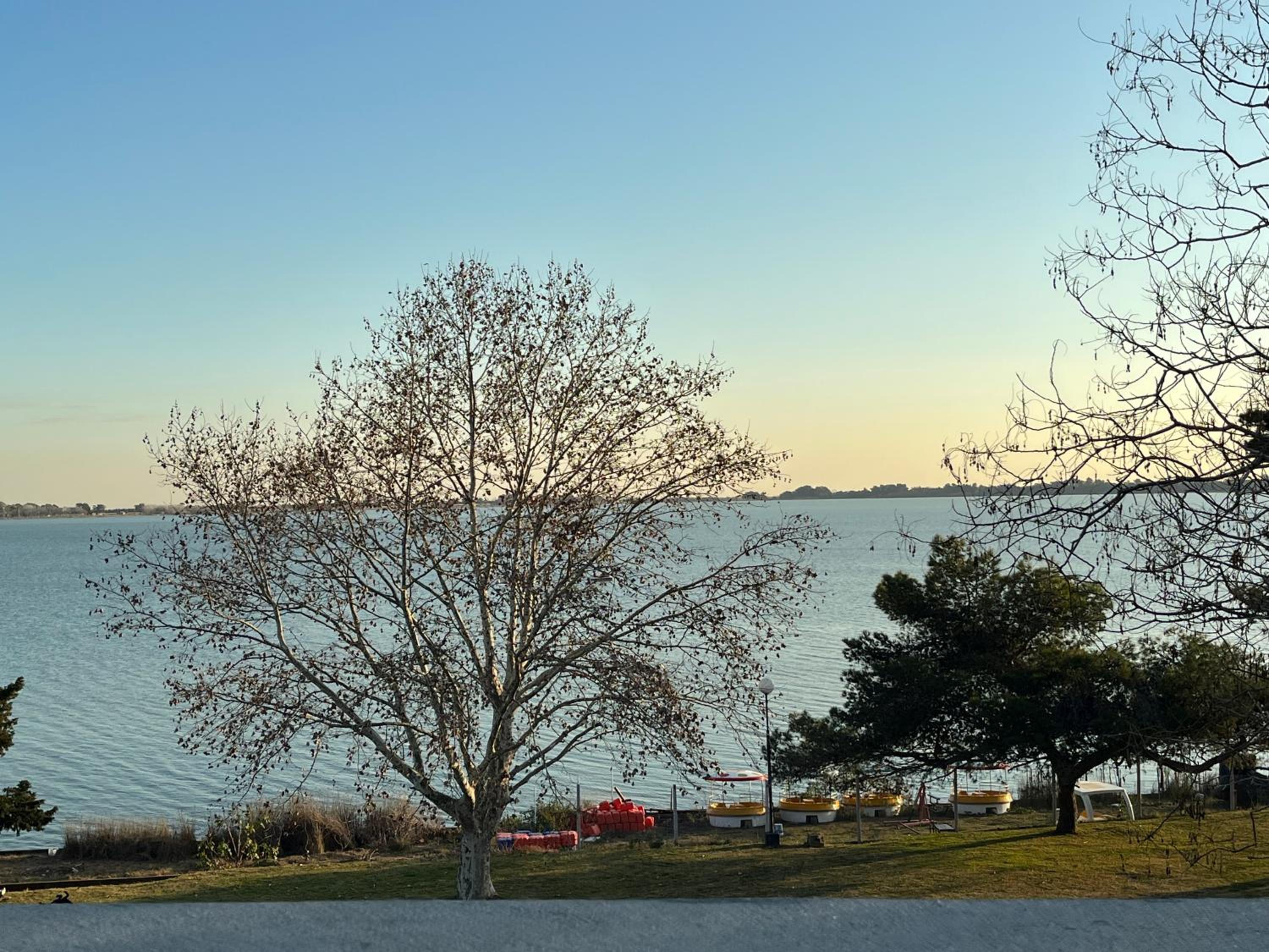 Apartment with Terrace photo 2