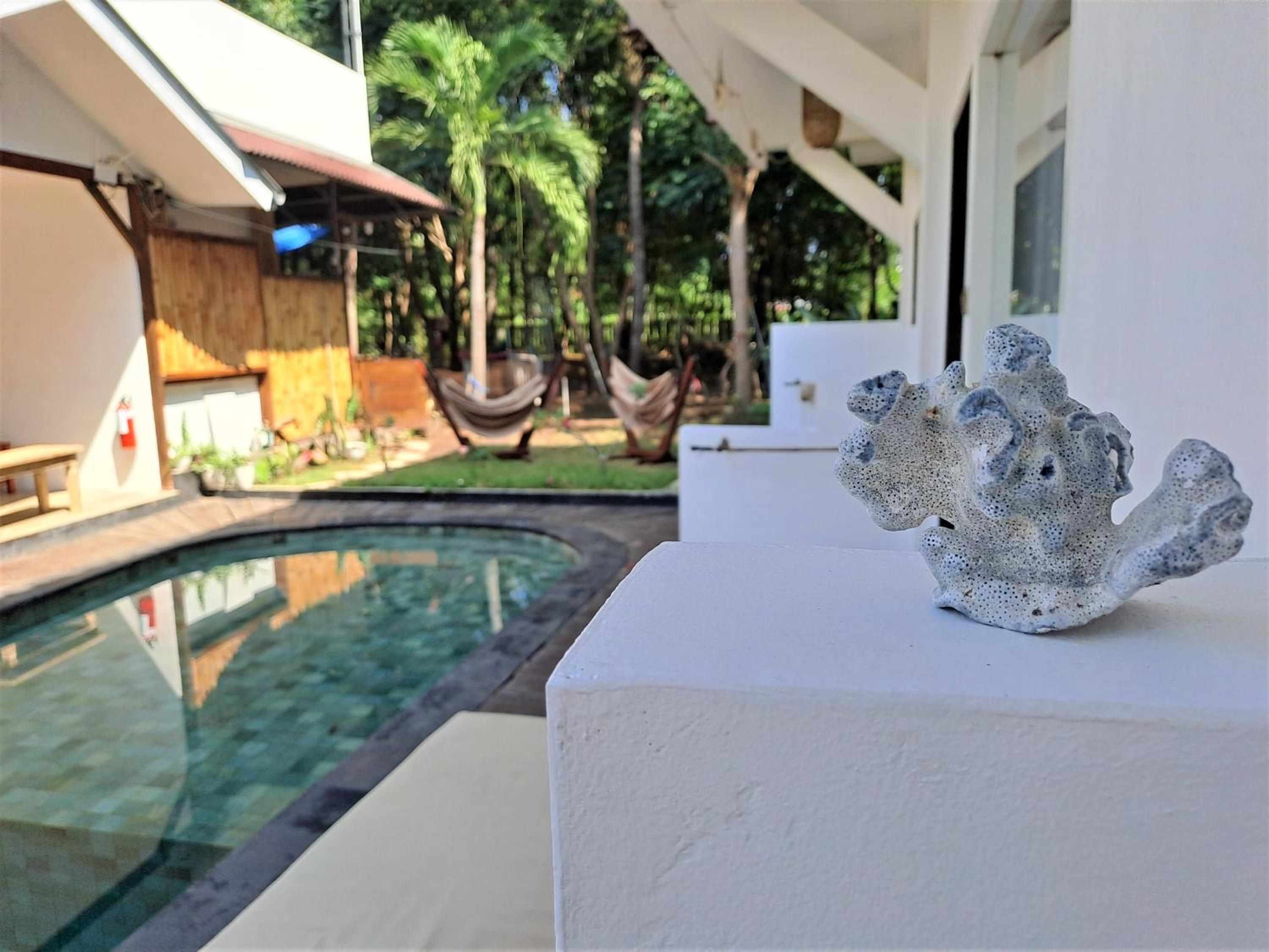 Boutique Room - Photo 19