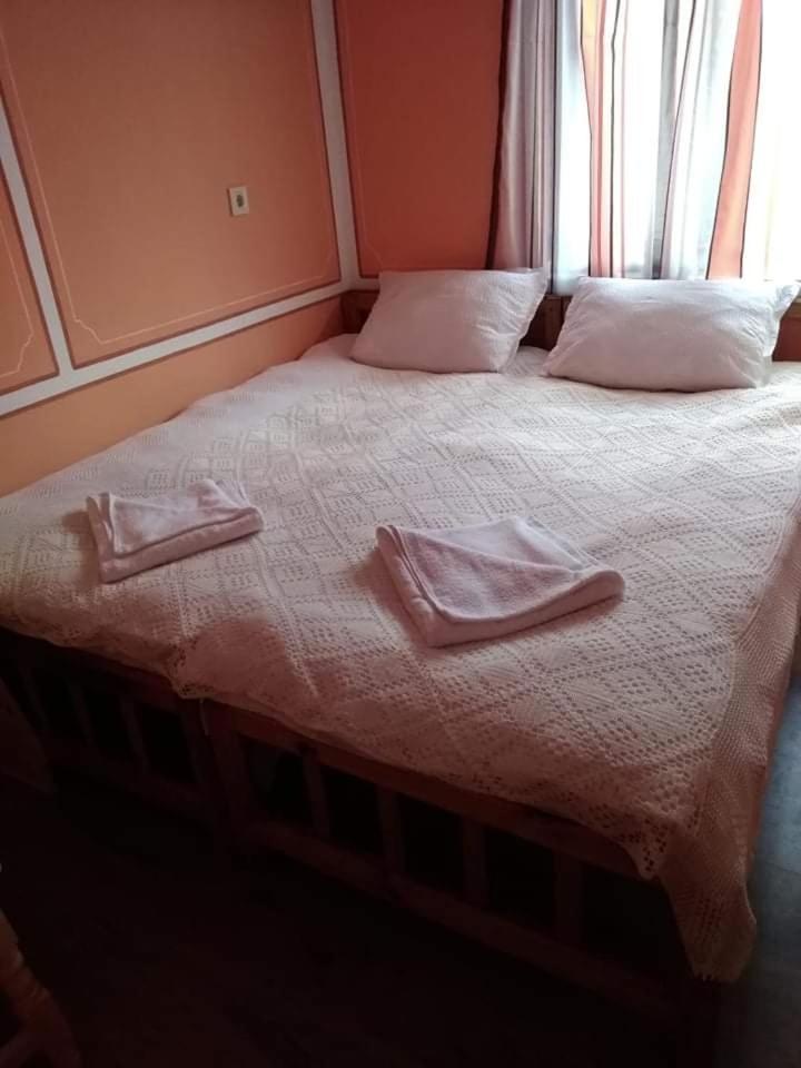Double or Twin Room photo 1