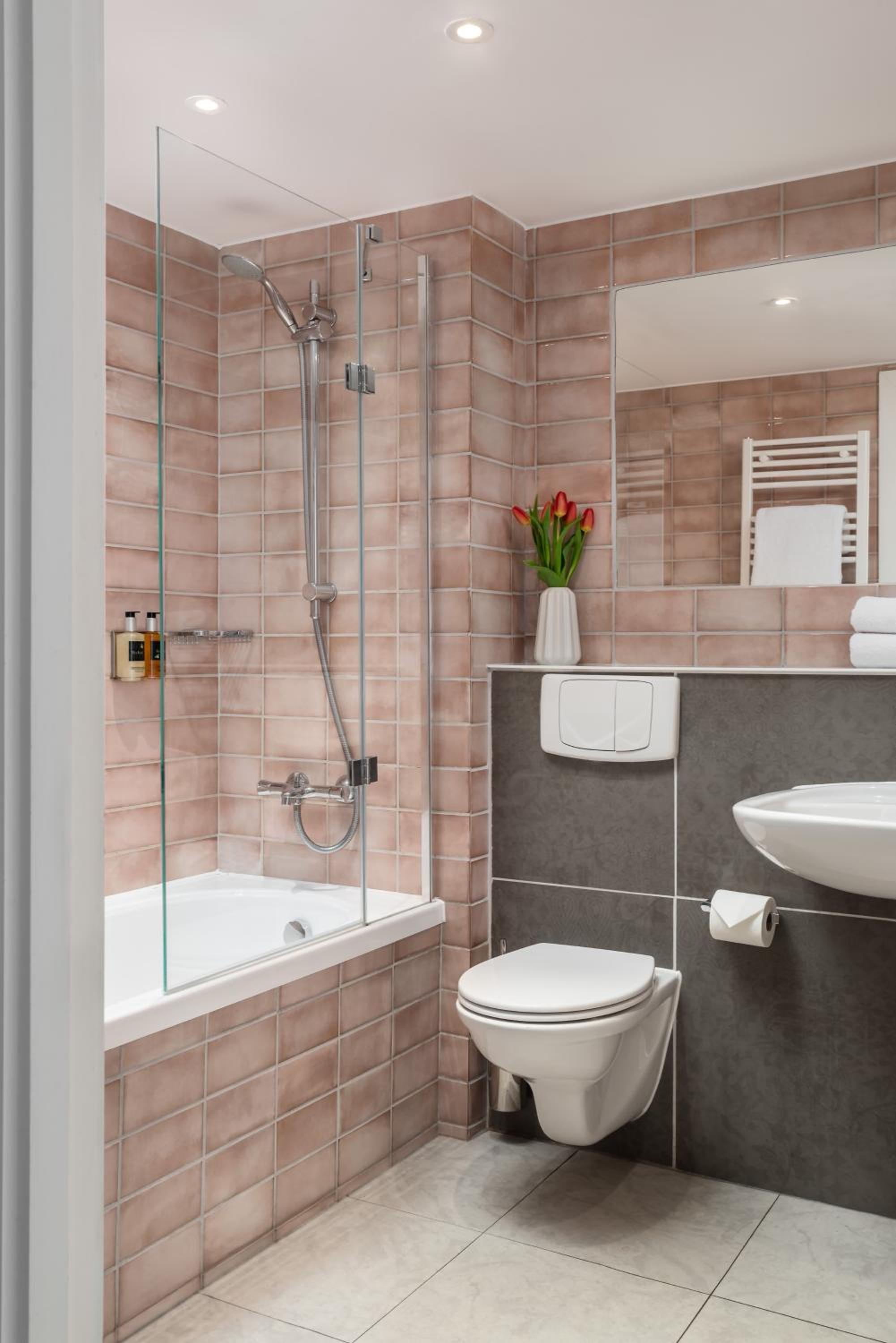 One Bedroom Suite  - Photo 8
