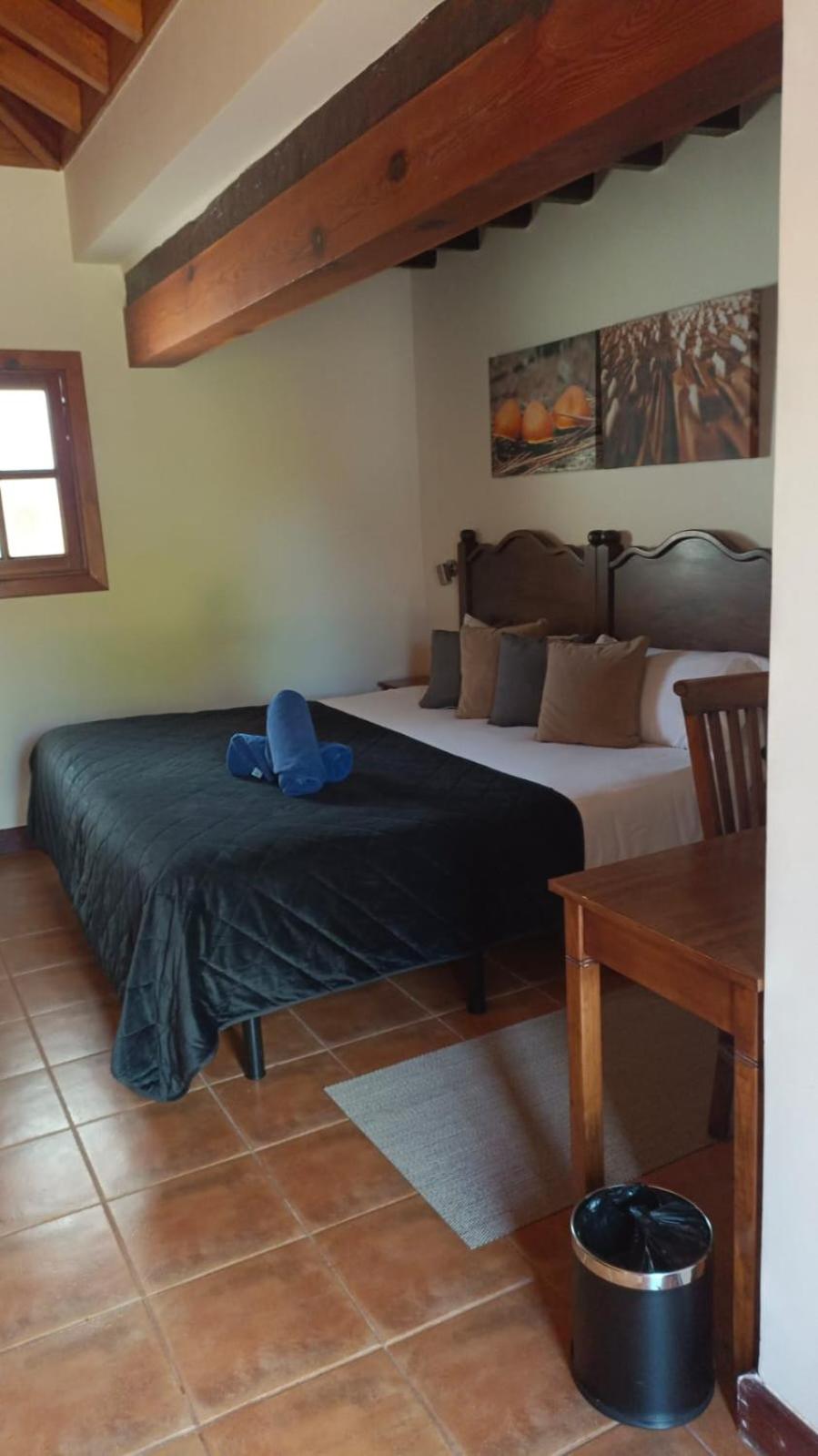 Habitación Doble con Terraza