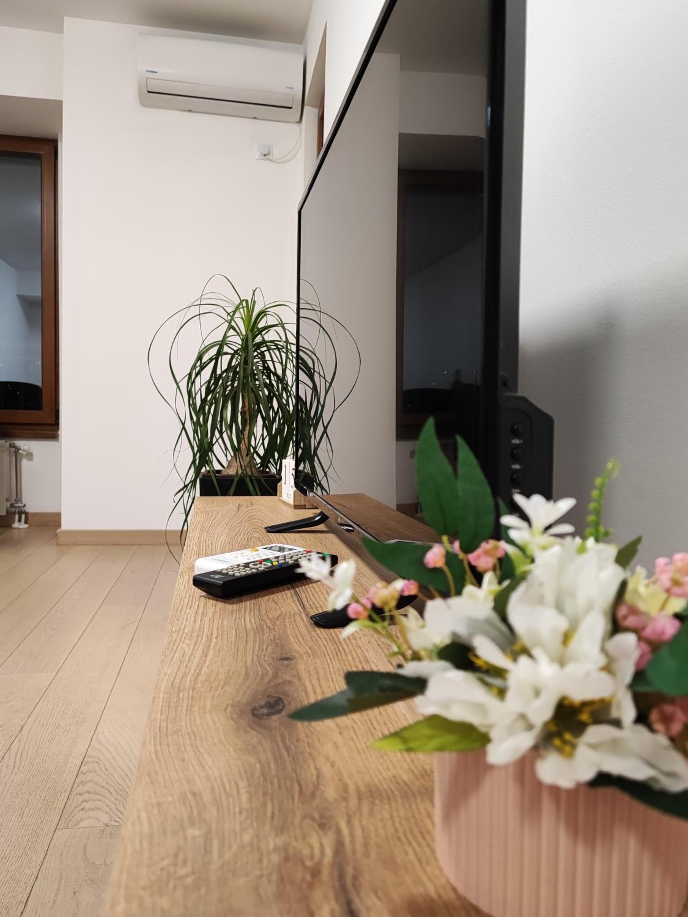 One-Bedroom Apartment photo 3