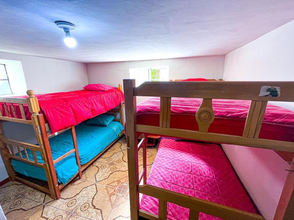 Bed in 6-Bed Mixed Dormitory Room photo 3
