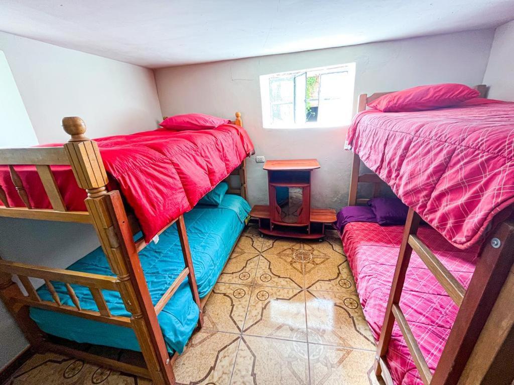 Bed in 6-Bed Mixed Dormitory Room photo 1