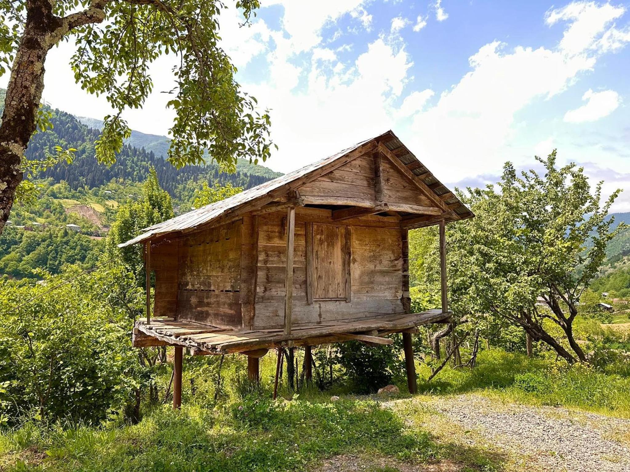 Four-Bedroom House photo 2