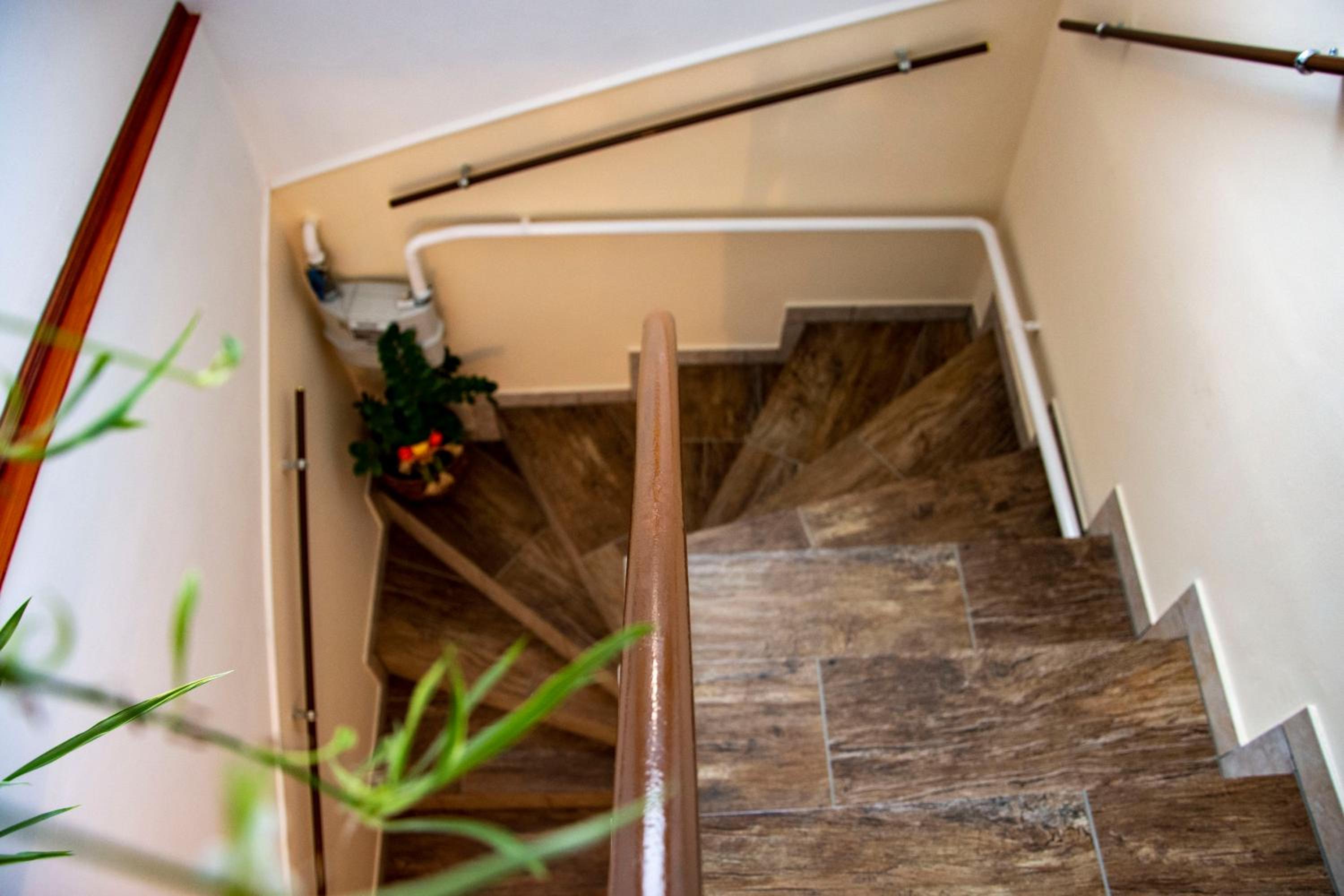 Basic Triple Room with Shared Bathroom photo 3