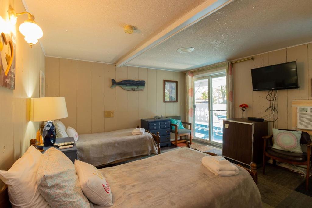 Double Or Twin Room