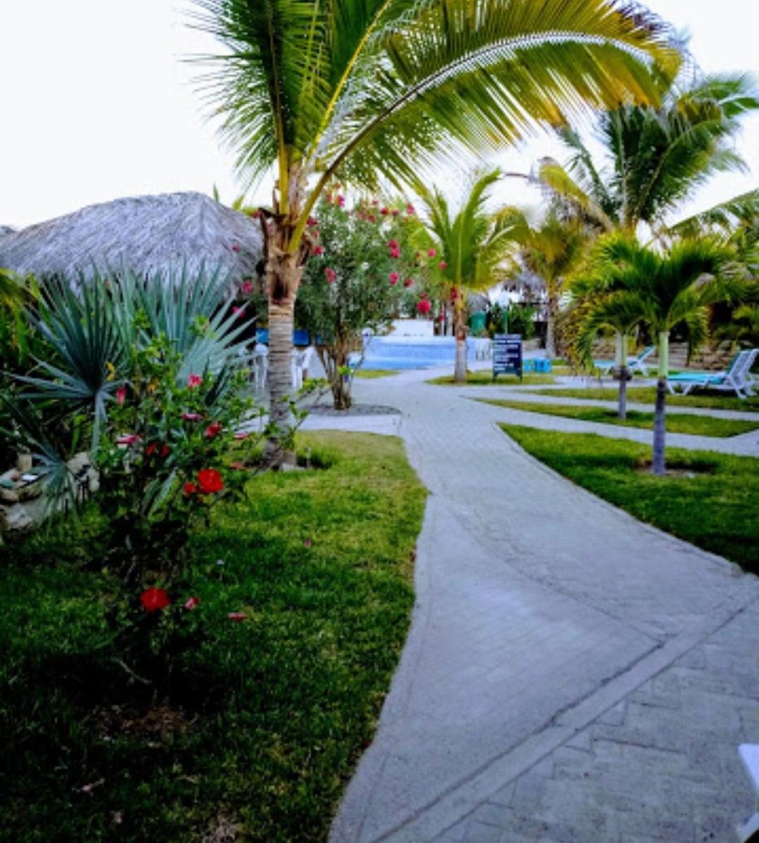Bungalow with Garden View photo 3