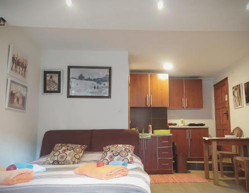 Studio Apartment