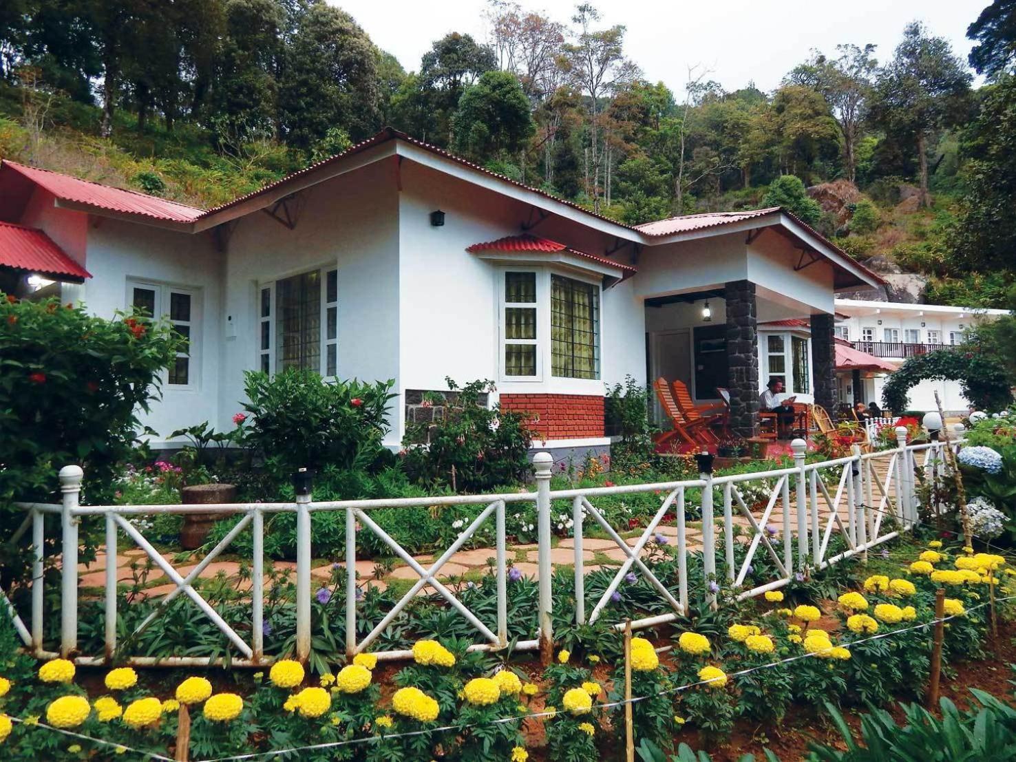 Eden Cottage - Photo 4