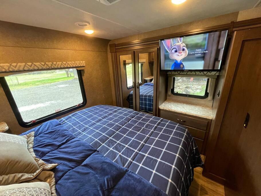 Two-Bedroom House photo 1