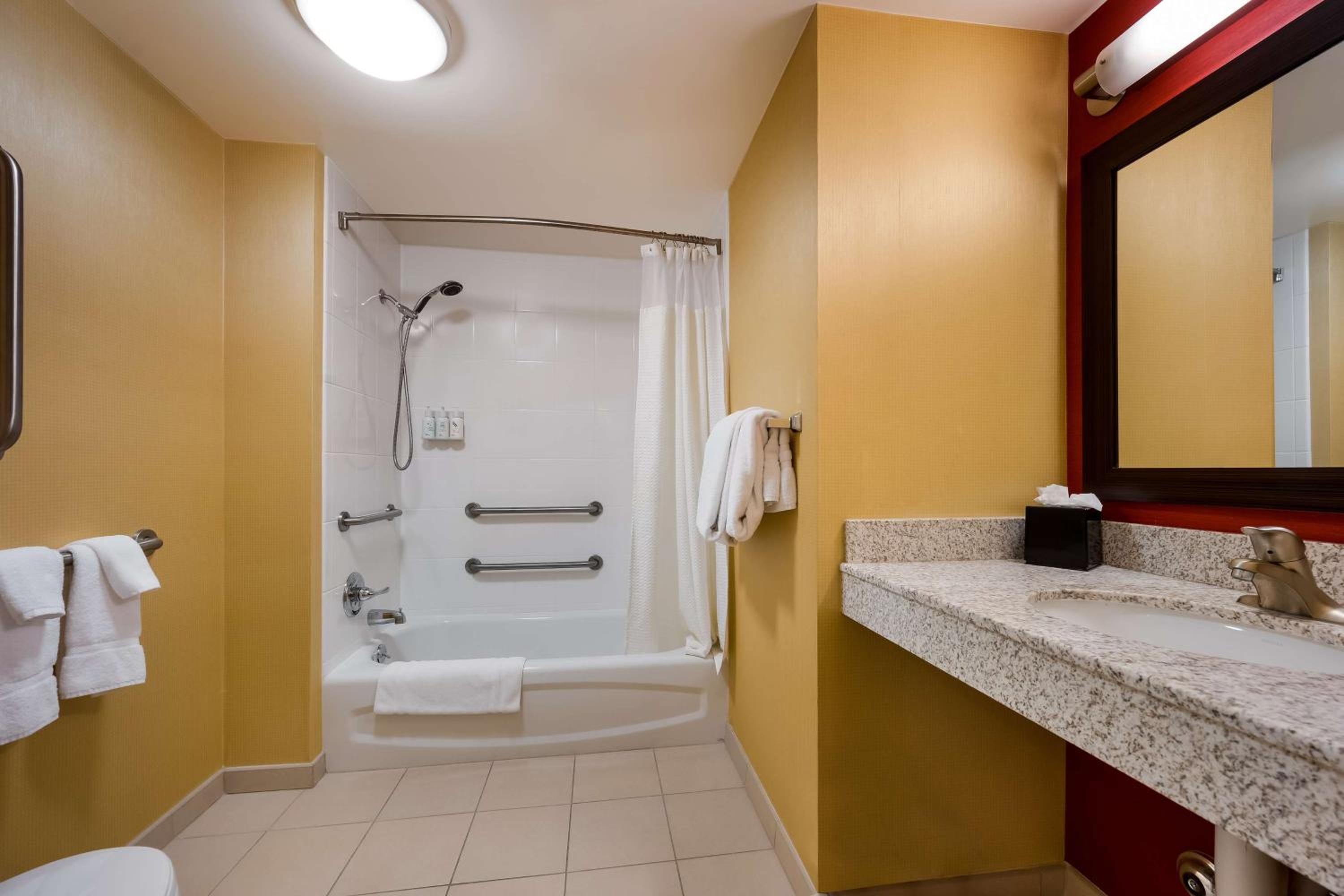 Mobility/Hearing Accessible Guestroom King Tub - Photo 5