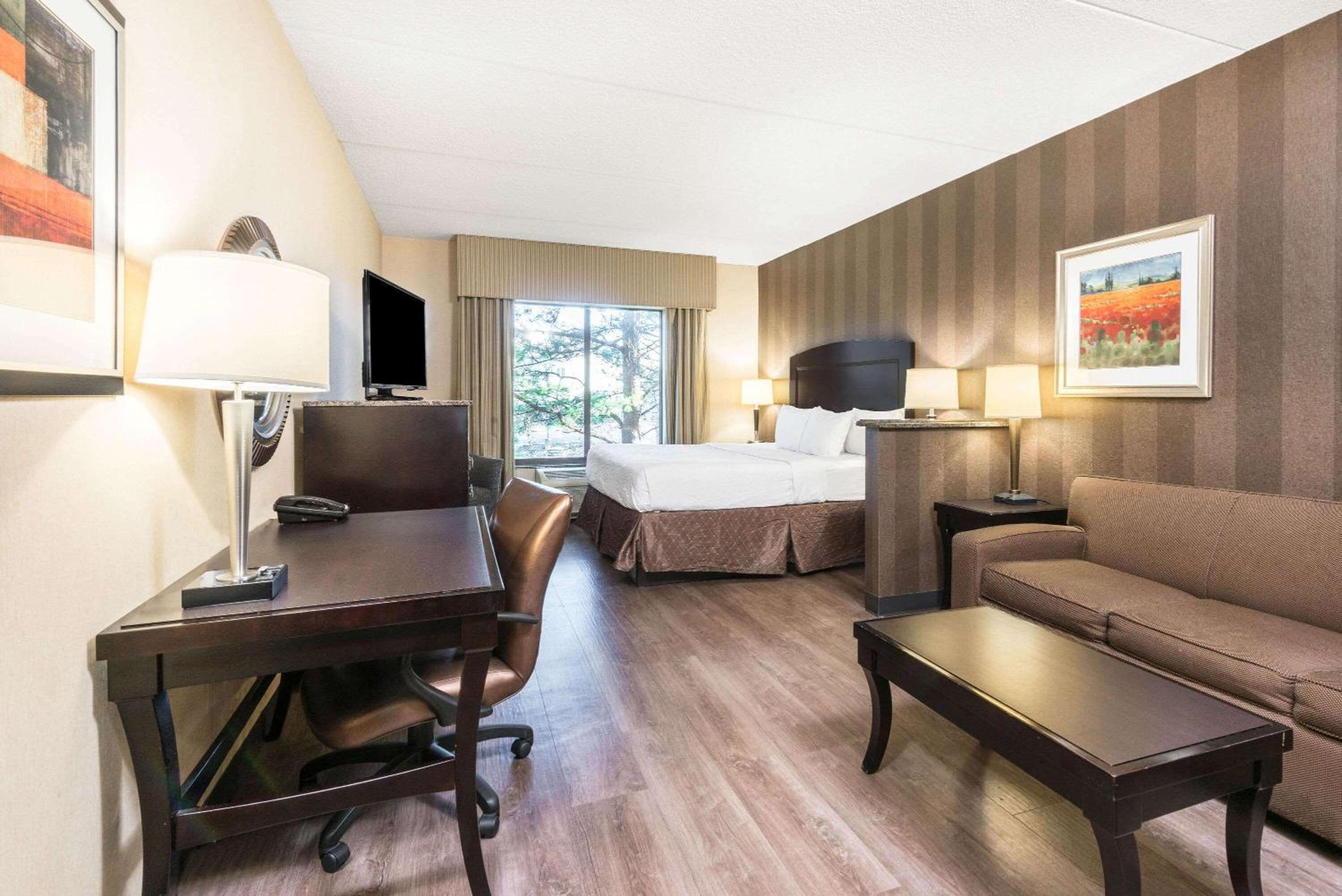 1 King Bed, Studio Suite with Sofa Bed, Non-Smoking