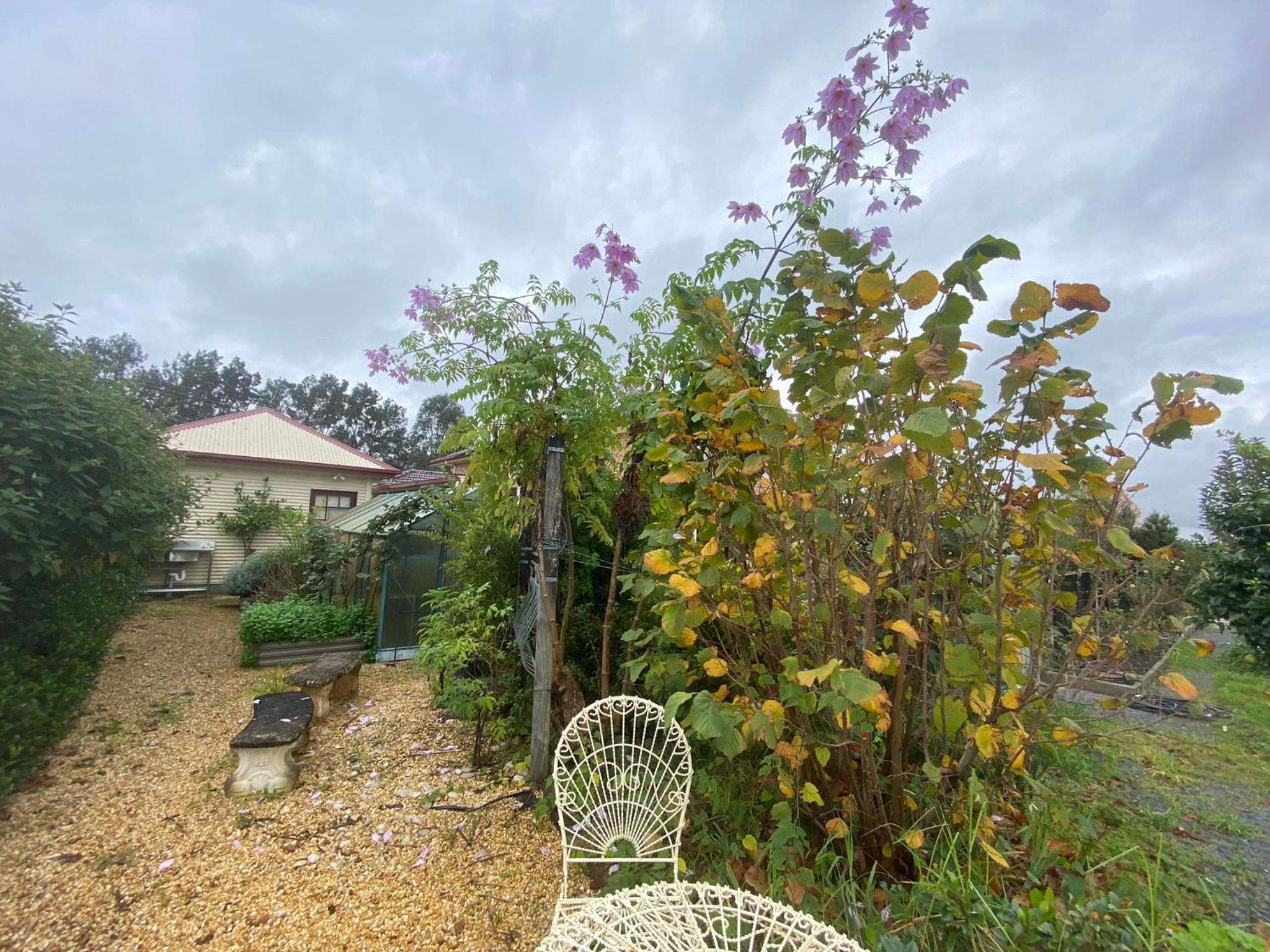 Vacation Home photo 3
