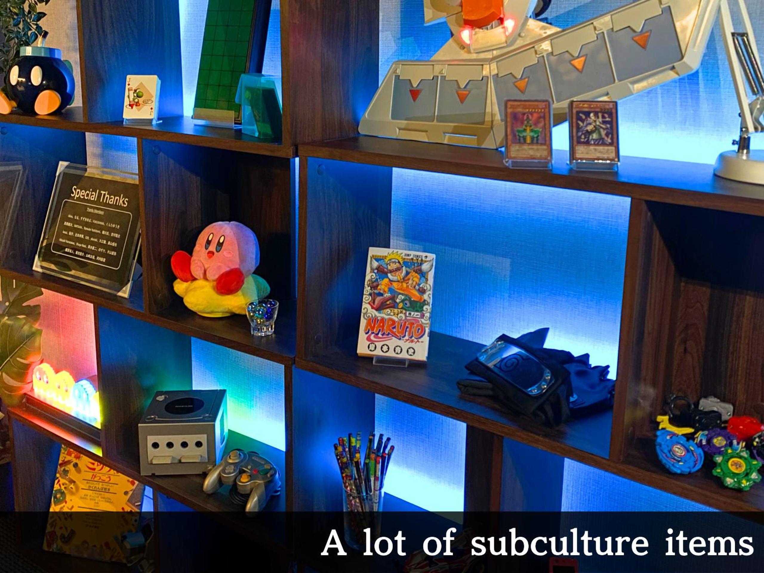 Game Room with Washing Machine thumbnail 6