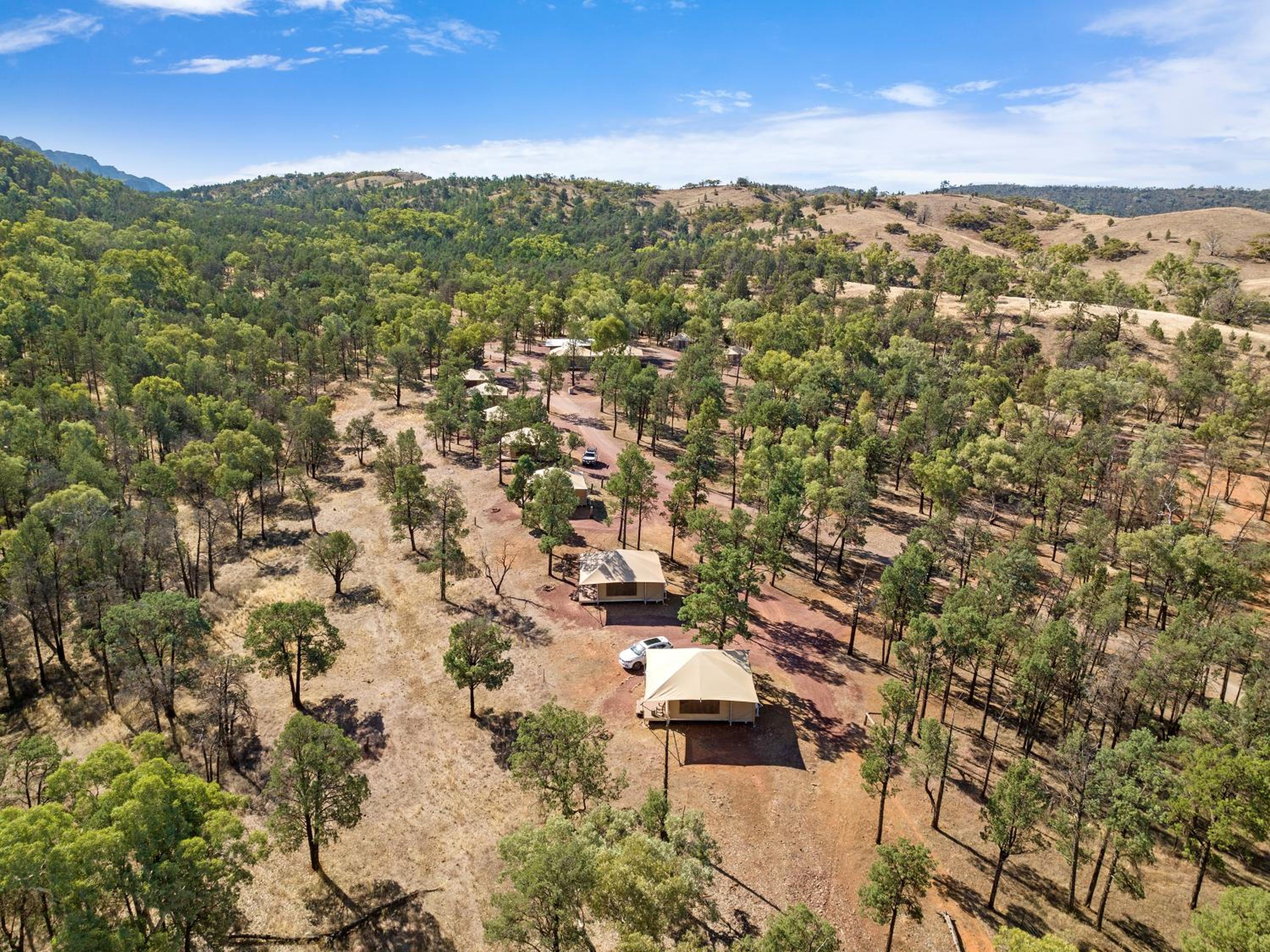 Safari Tent - Photo 5