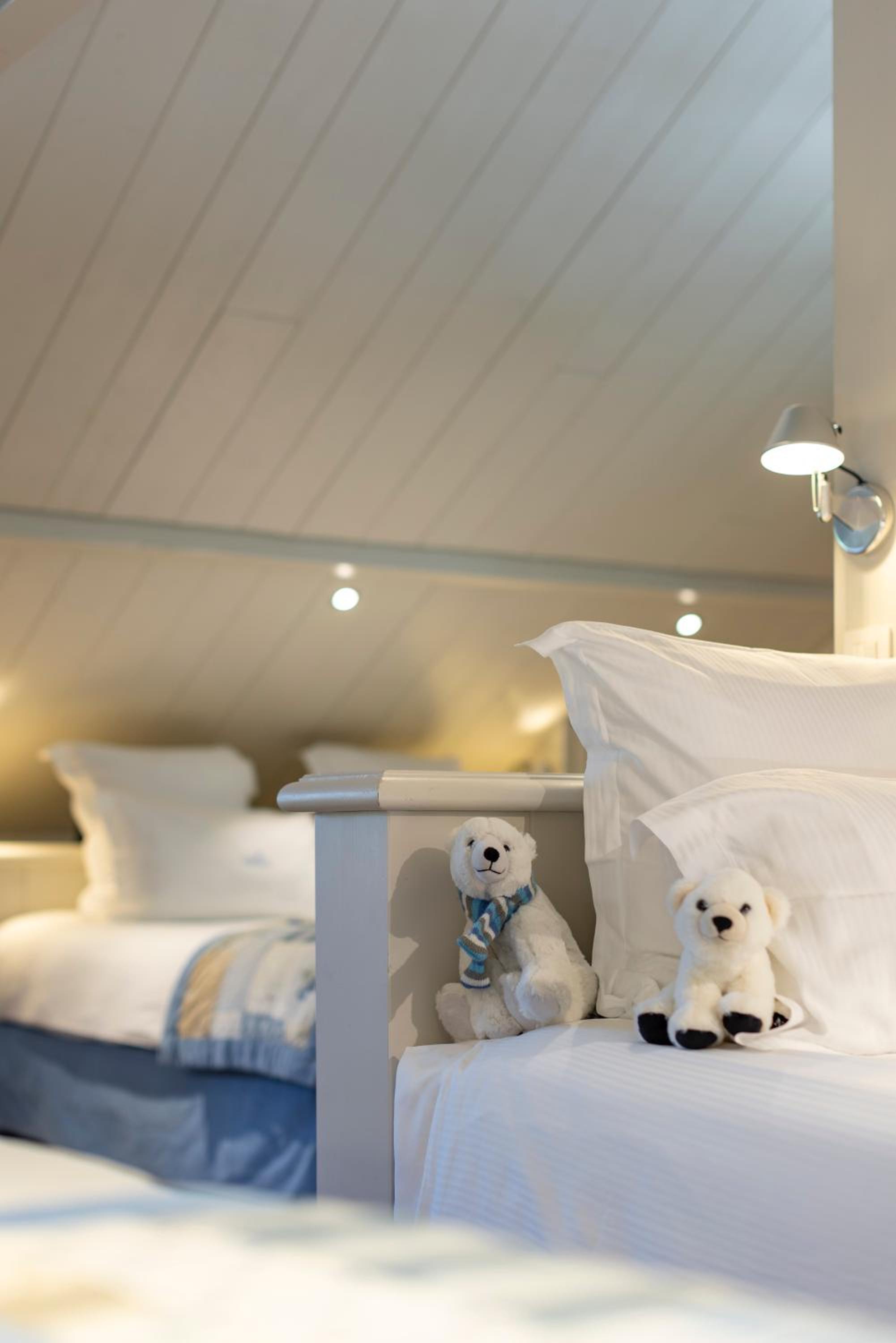 Suite - Photo 1