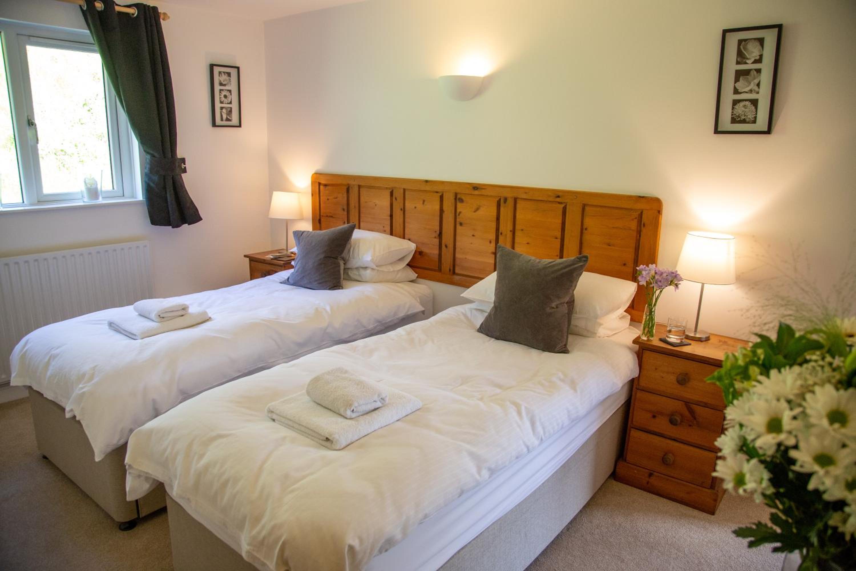 Double or Twin Room photo 1
