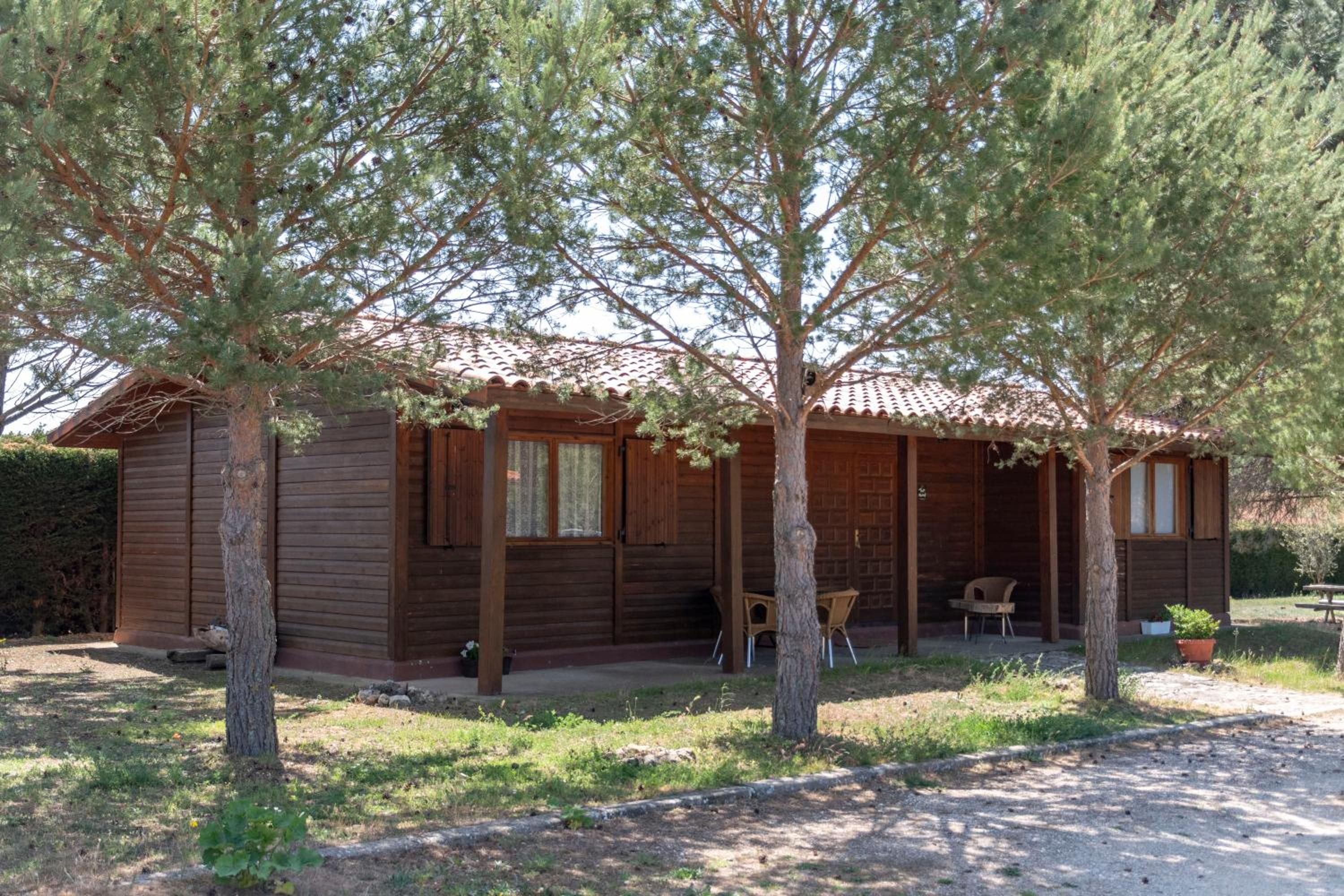 One-Bedroom House photo 2