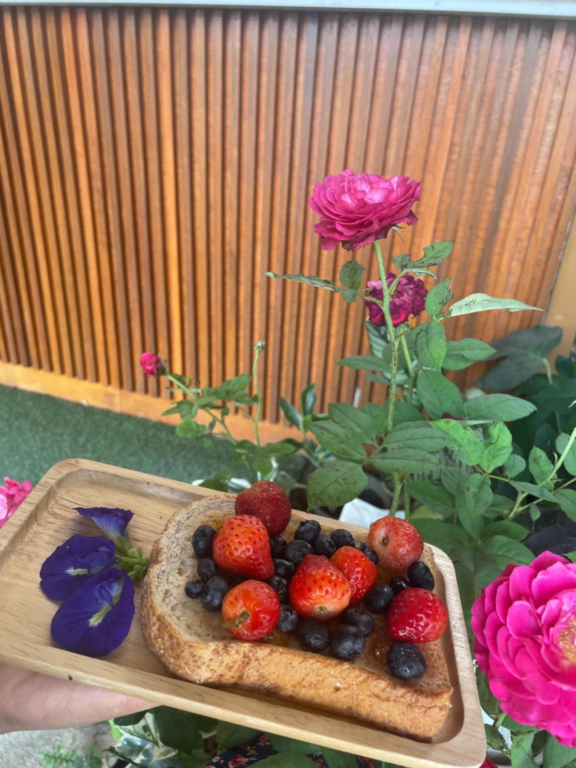 Standard Double Room - Photo 19