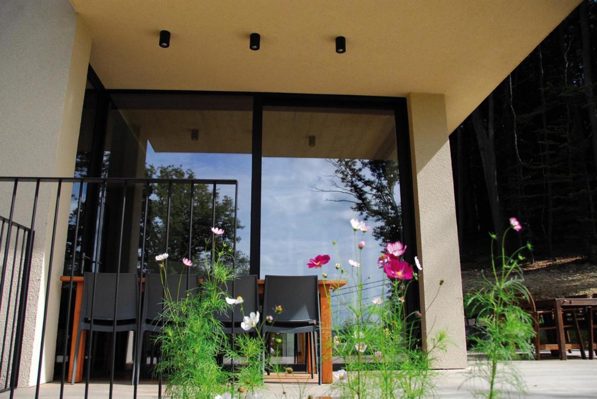 Deluxe Villa photo 2