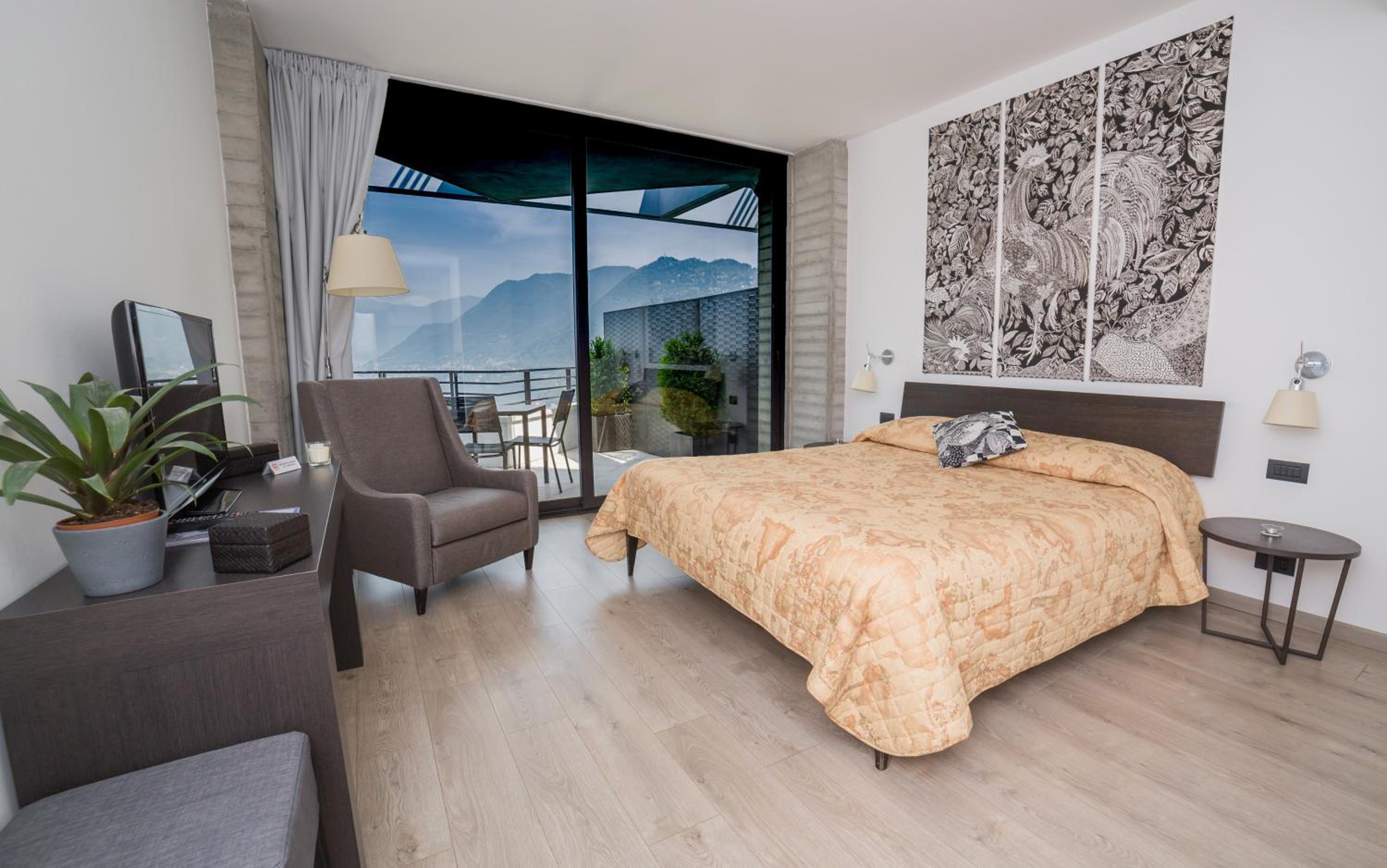Deluxe Double Room with Terrace and Lake View