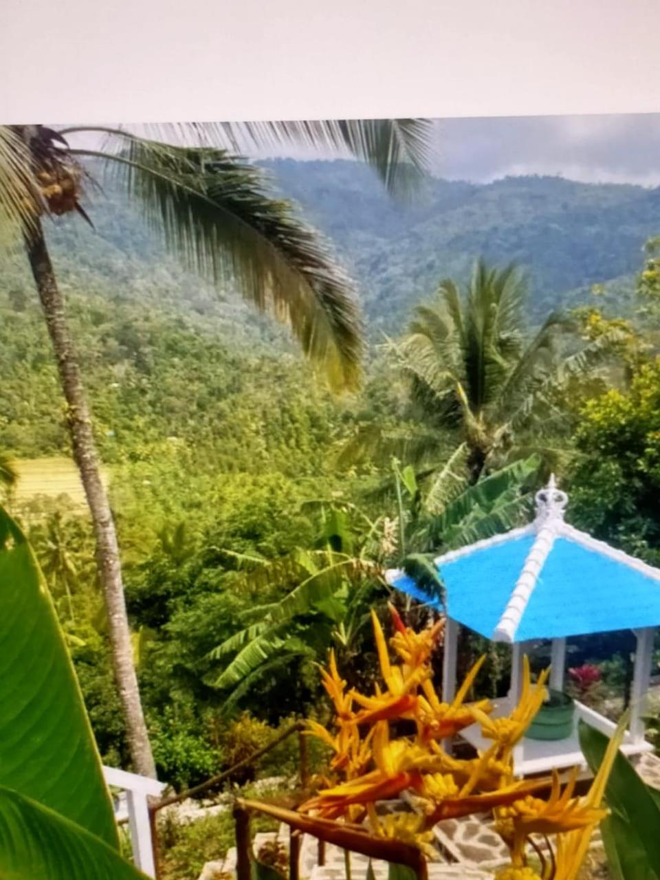 Chalet photo 3