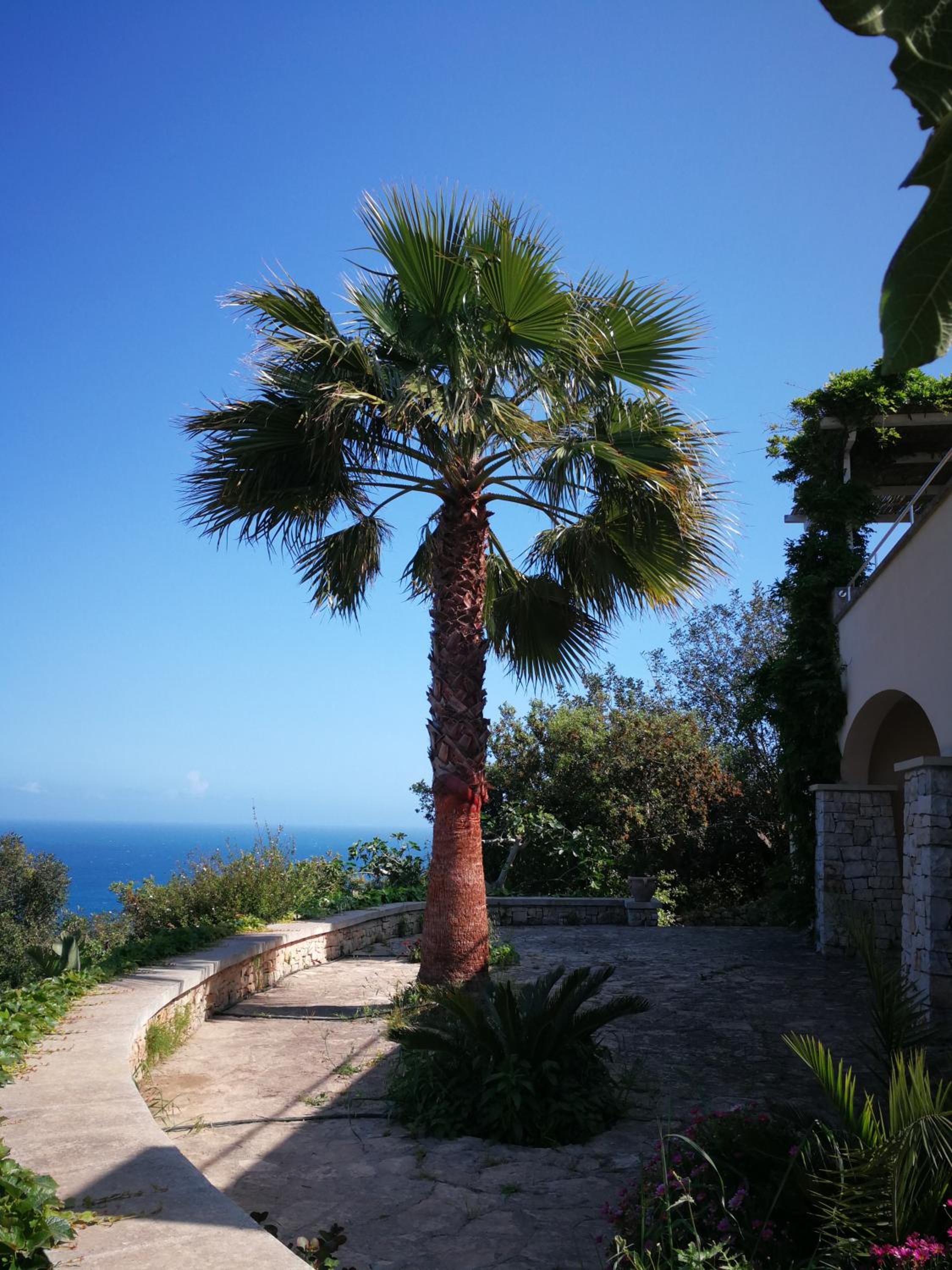 Villa photo 2